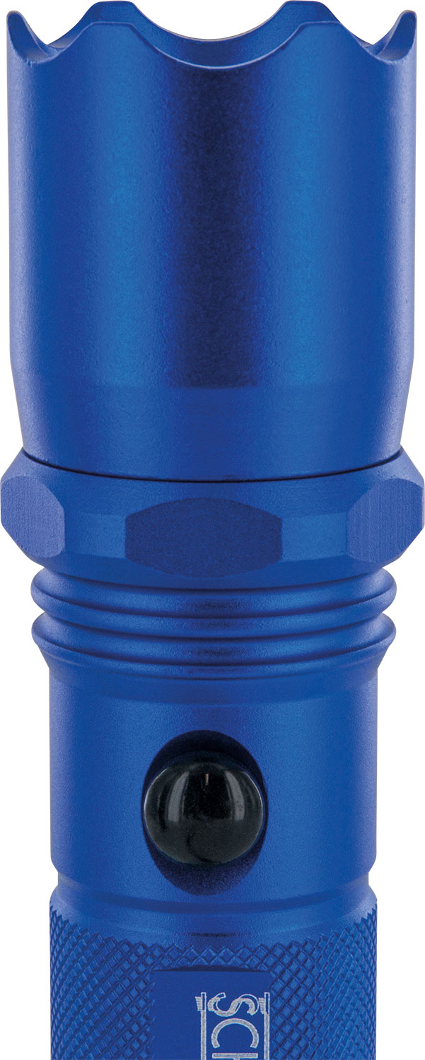 Blaue Taschenlampe mit schwarzem Knopf und strukturiertem Griff. DS-Logo sichtbar.