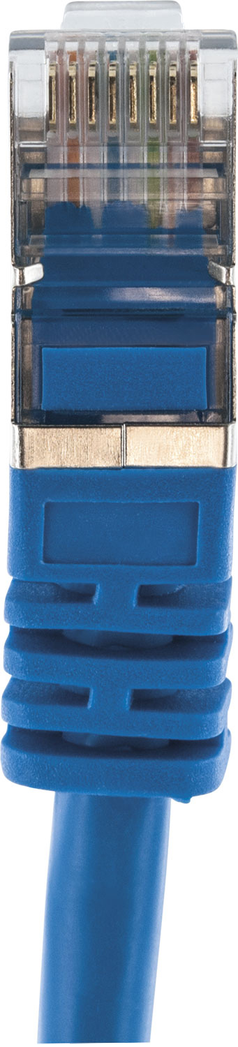 Nahaufnahme eines blauen Ethernet-Kabelanschlusses. Er hat einen transparenten Kunststoffkopf und Metallkontakte.