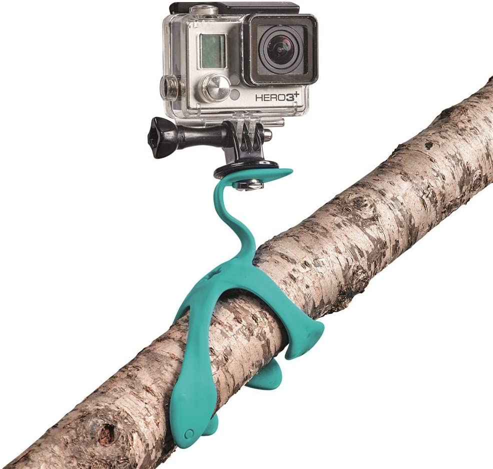 GoPro-Kamera auf einer grünen, flexiblen Halterung, an einem Ast befestigt.
