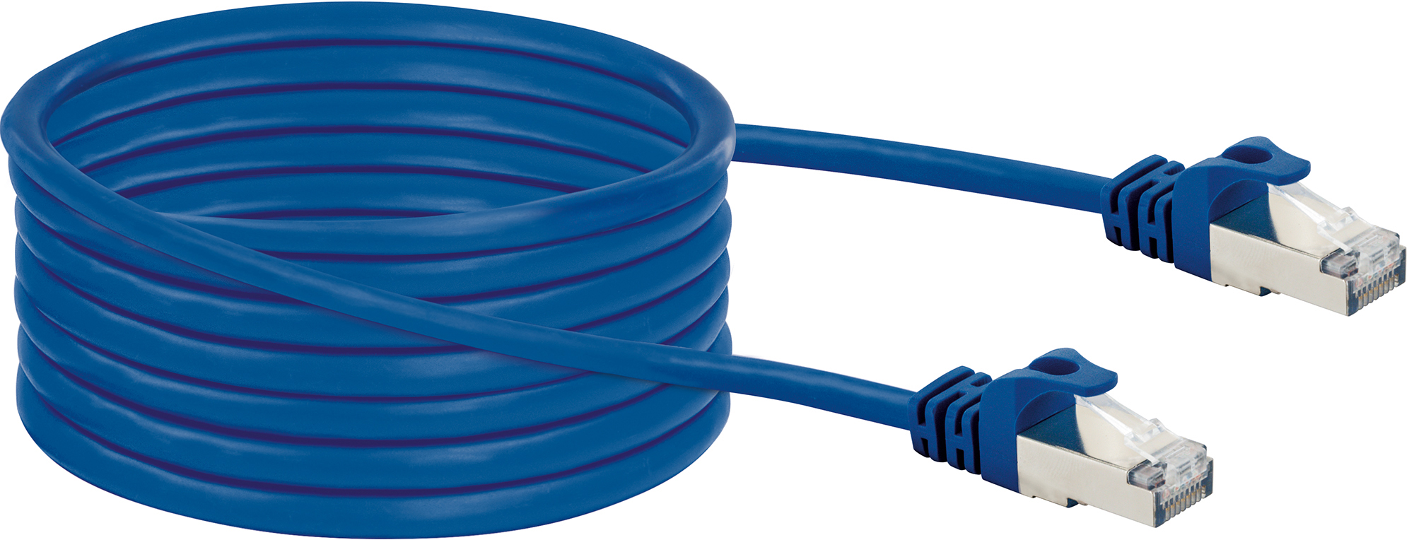 Un cavo Ethernet blu con connettori trasparenti, arrotolato su sfondo bianco.