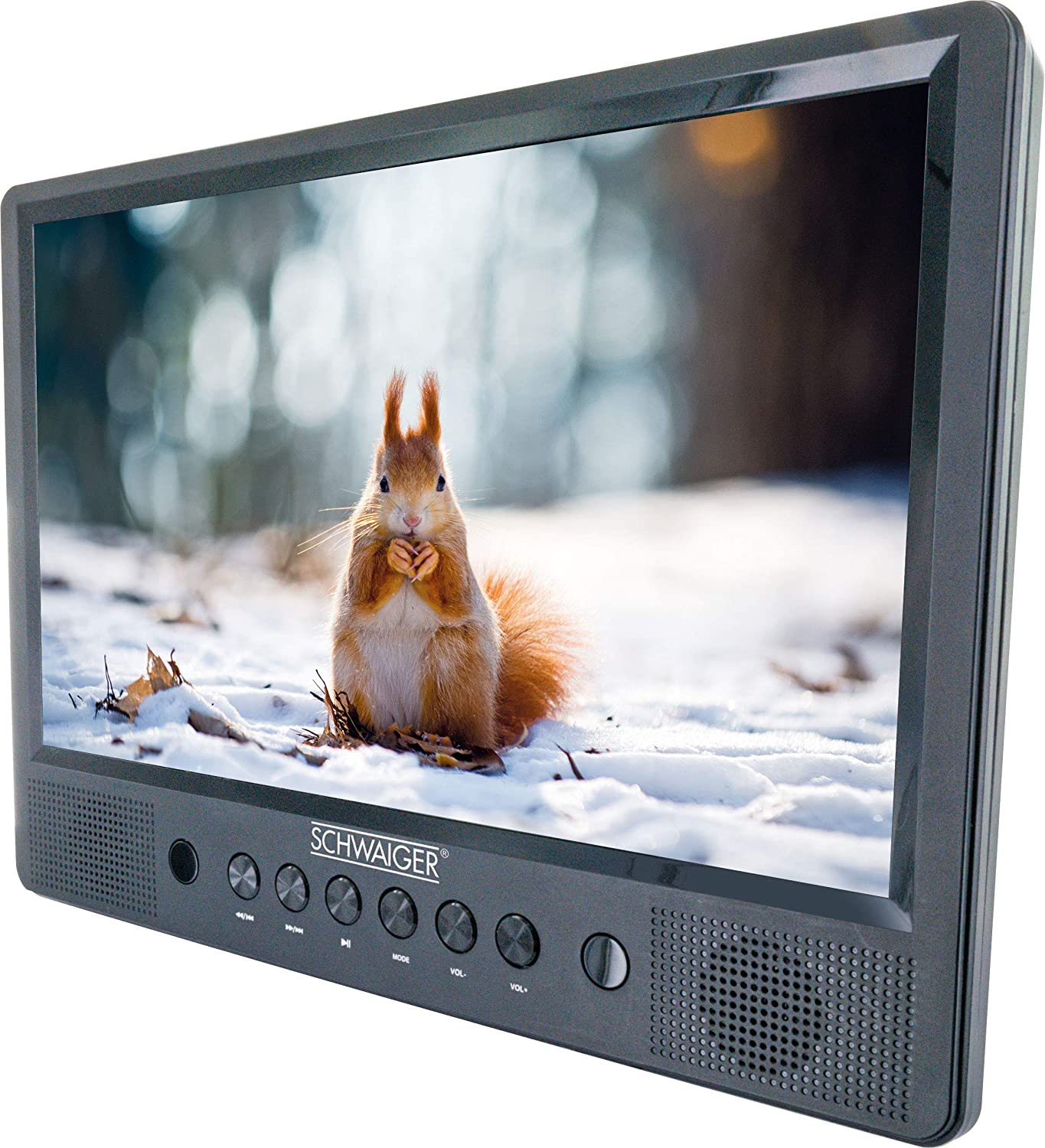 Kleiner Fernseher, der ein Eichhörnchen im Schnee zeigt. Schwarzer Rahmen, Knöpfe und Lautsprecher.