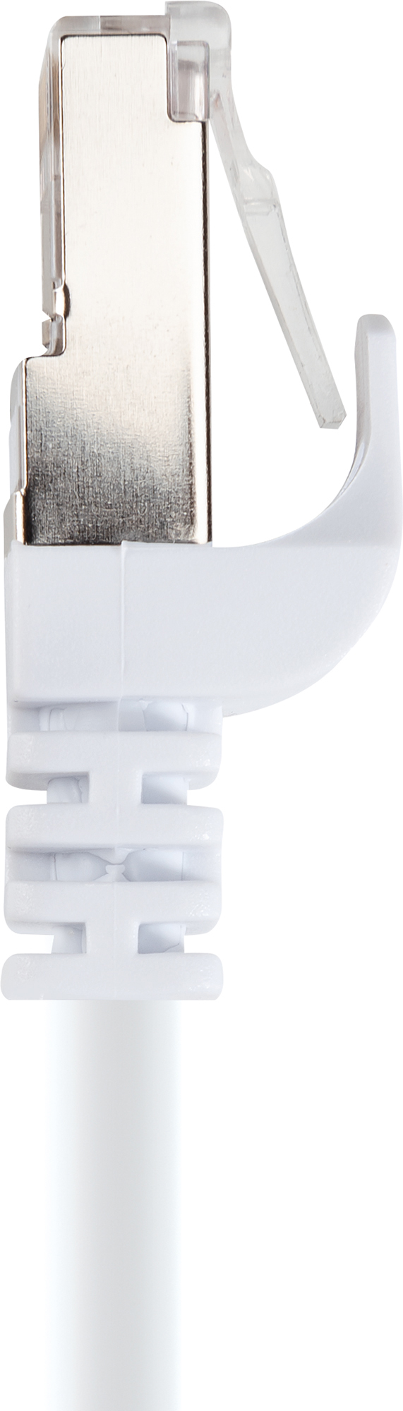 Connettore per cavo di rete bianco. Ha una parte in metallo argentato e un cavo bianco. Sfondo bianco.