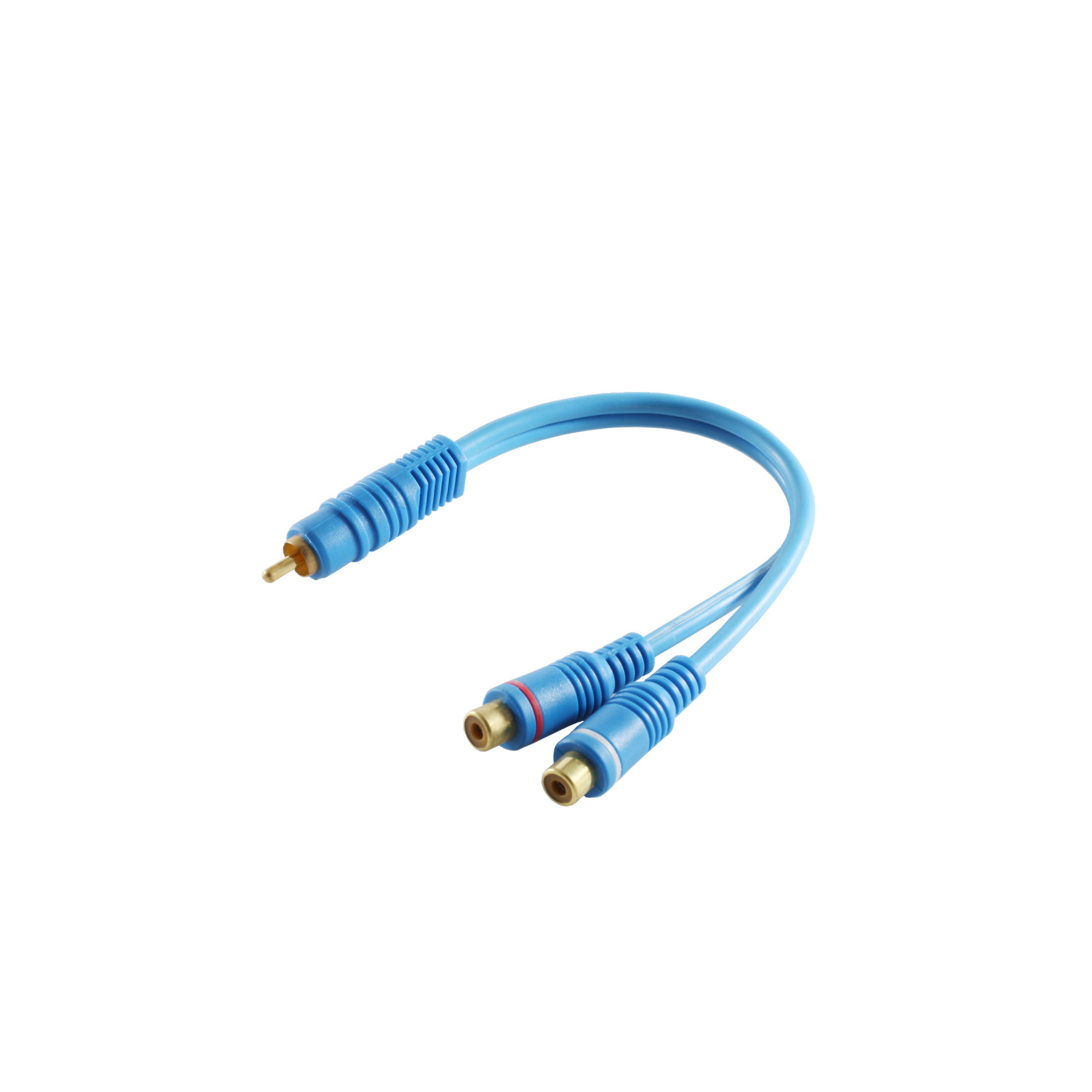 Blaues Audiokabel, zwei Cinch-Anschlüsse. Gebogene Form, auf weißem Hintergrund.