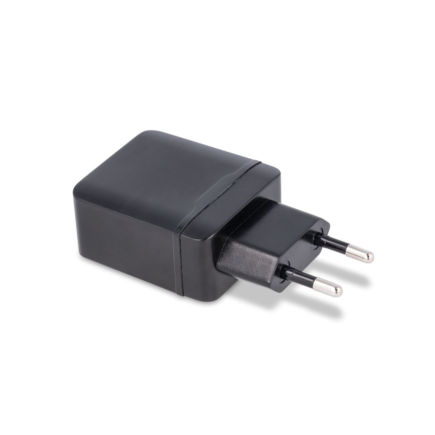 Ein schwarzer Netzadapter mit zwei Stiften zur Verwendung mit einer Steckdose. Es ist auf weißem Hintergrund.