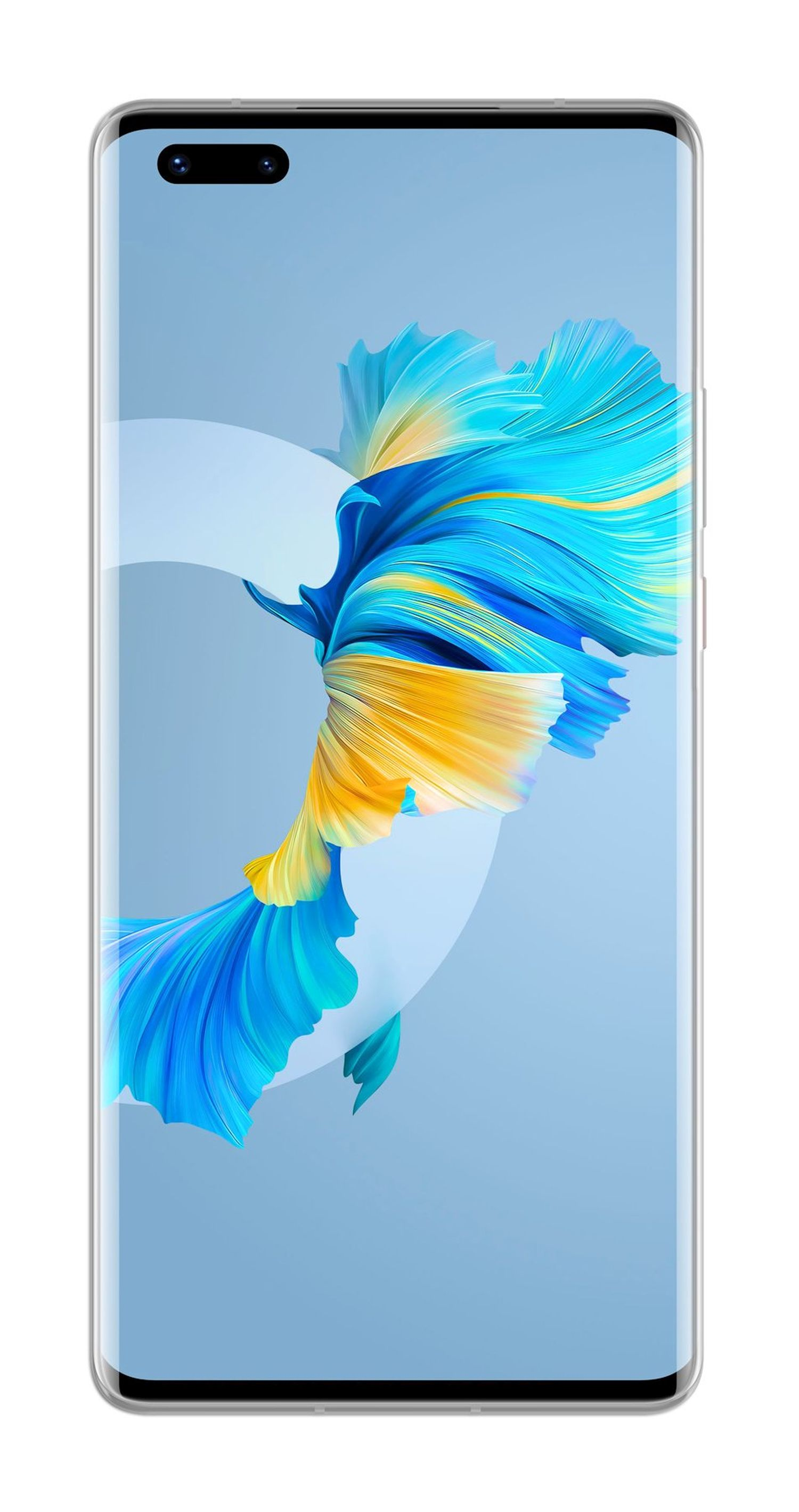Ein schlankes Smartphone mit einem gebogenen Bildschirm, das einen floralen Hintergrund mit blauen und gelben Farben zeigt.