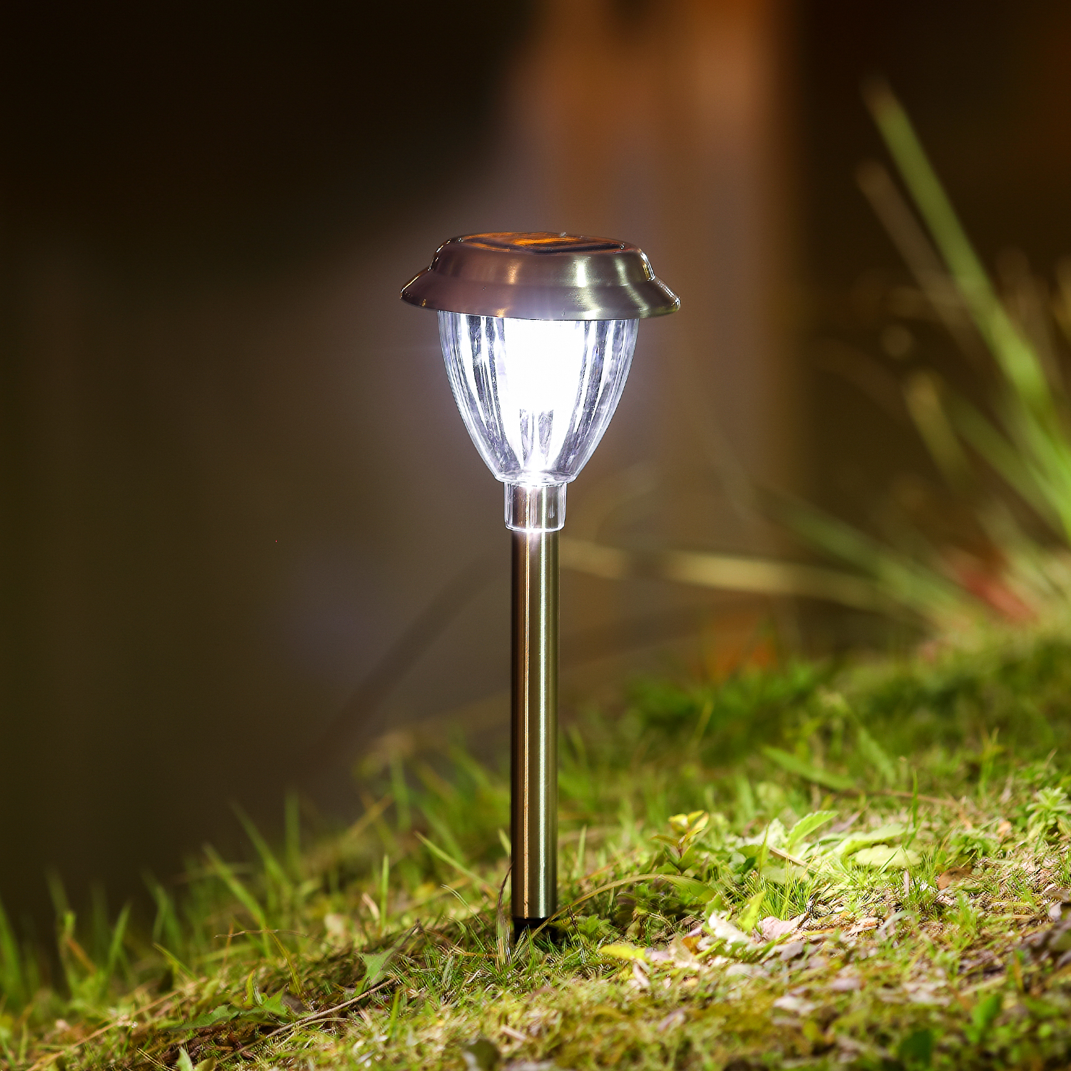 Una luce da giardino a energia solare. È argentata e ha una luce bianca.