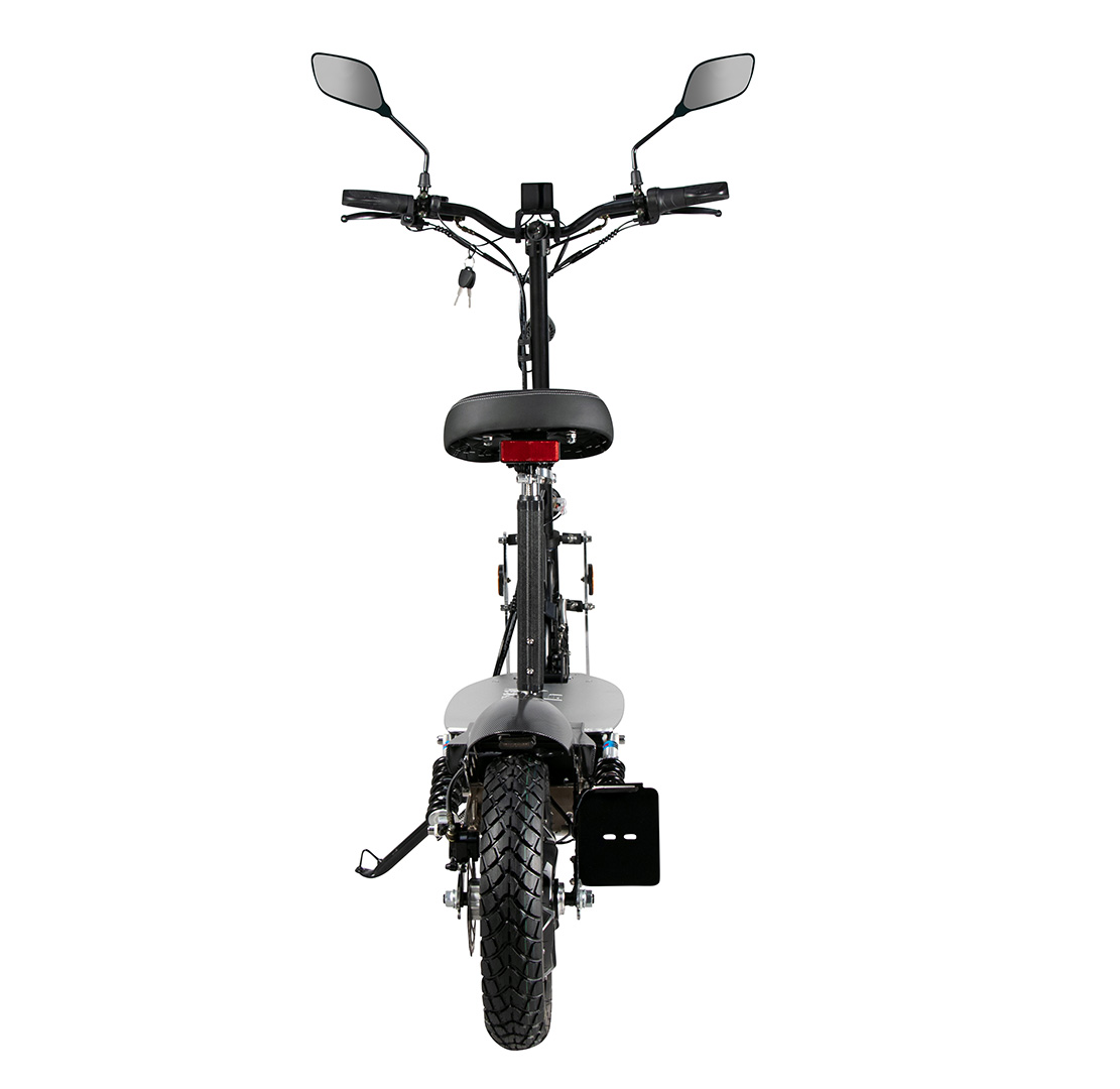 EFLUX Vision X2 E-Scooter Zoll, Unisex-Rad, Schwarz) (Laufradgröße: 10