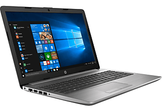 HP 250, fertig eingerichtet, Office 2019 Pro, Notebook mit 15,6 Zoll Display,  Prozessor, 32 GB RAM, 250 GB SSD, Intel Iris Plus Graphics, Asteroid Silver
