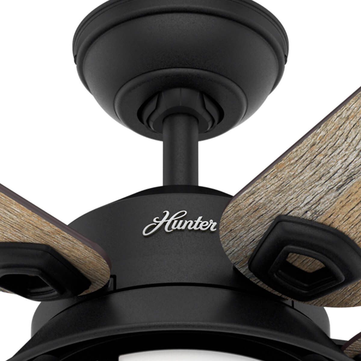 Ein schwarzer Hunter-Deckenventilator mit Holzoptik-Blättern, an einer weißen Decke montiert.