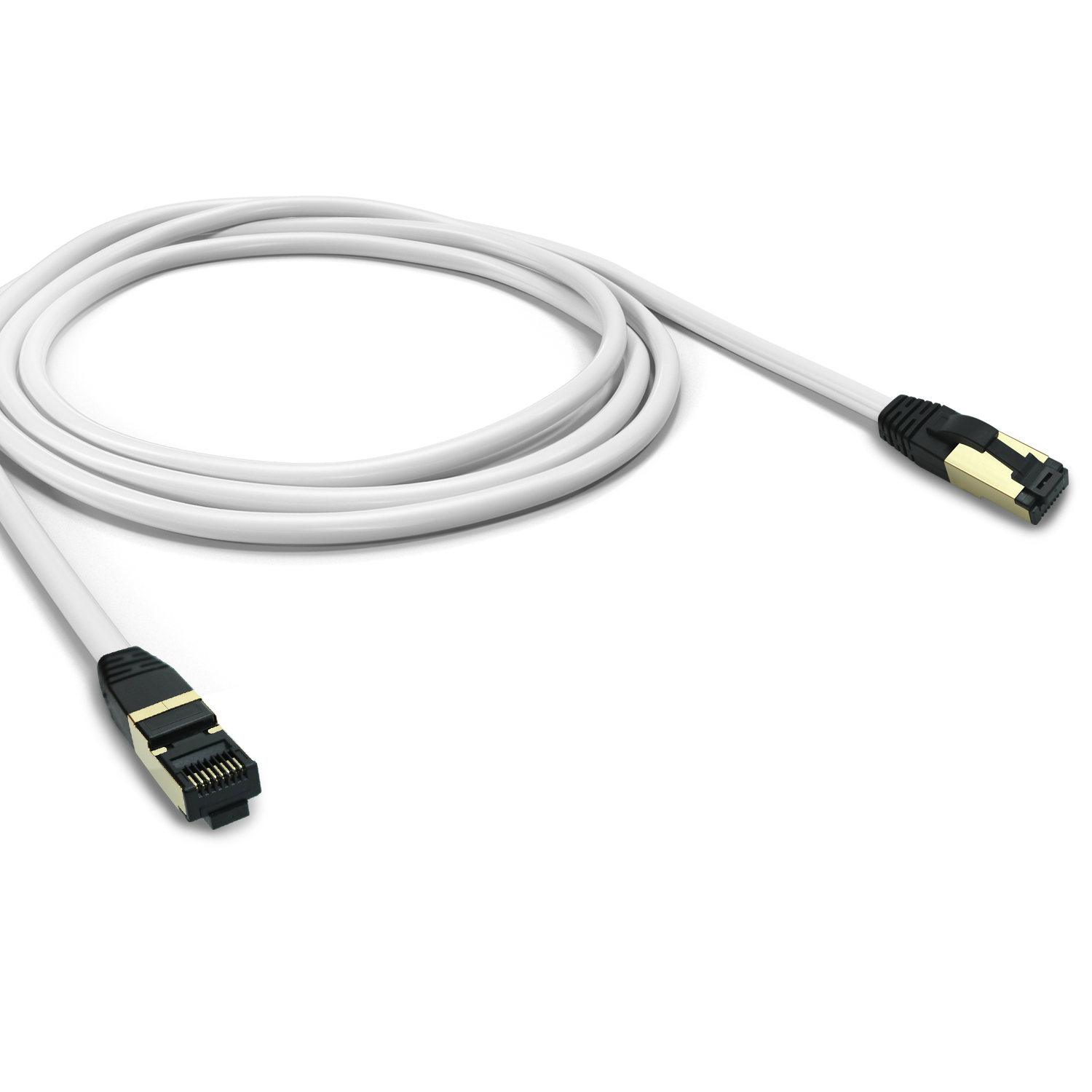 Weißes Ethernet-Kabel mit schwarzen und goldenen Steckern auf weißem Untergrund.