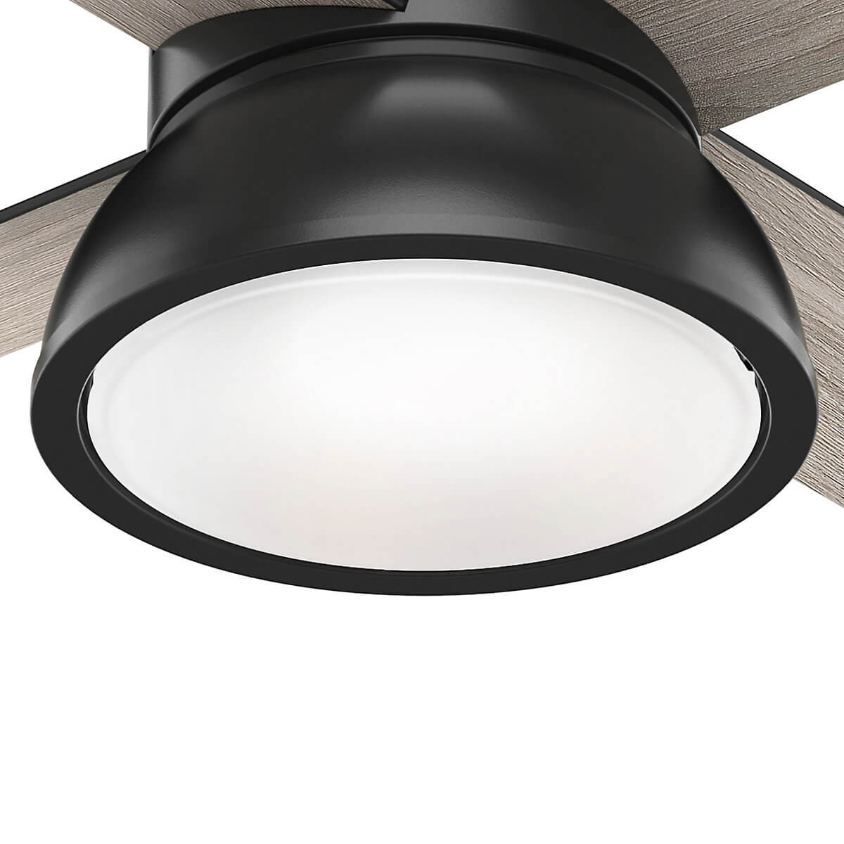 Ein schwarzer Deckenventilator mit Licht. Die Lüfterflügel sind grau.
