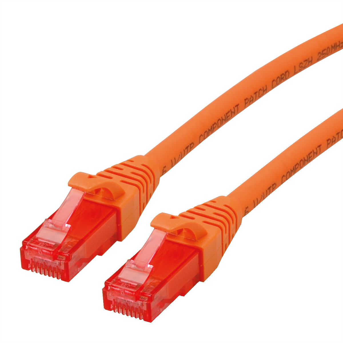 Oranje Ethernet-kabels, transparante connectoren, witte achtergrond.