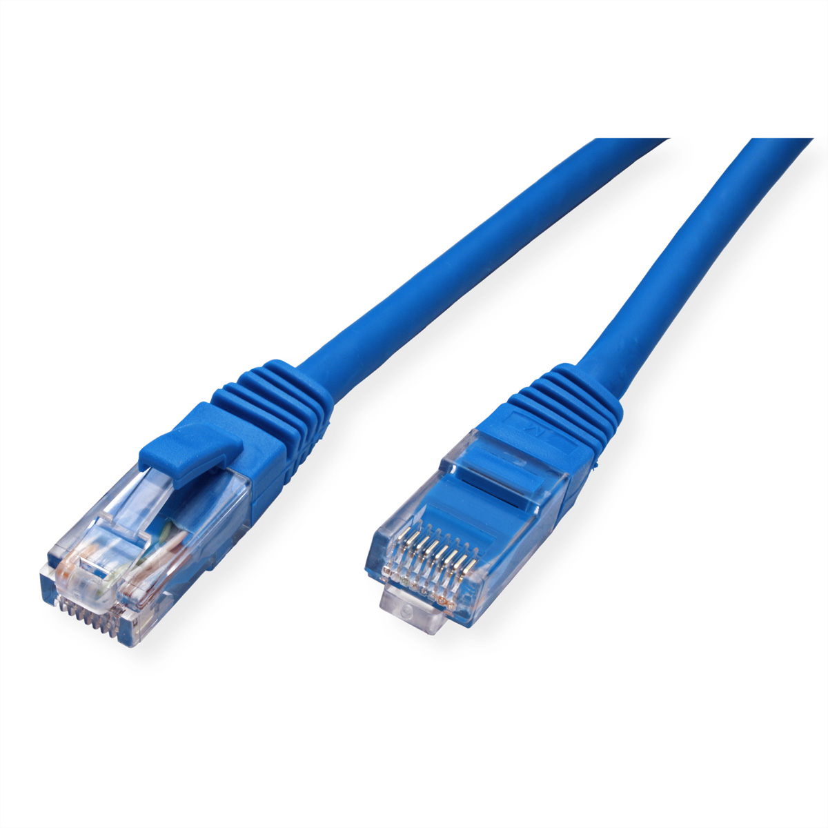 Deux câbles Ethernet bleus avec des connecteurs transparents sur fond blanc.