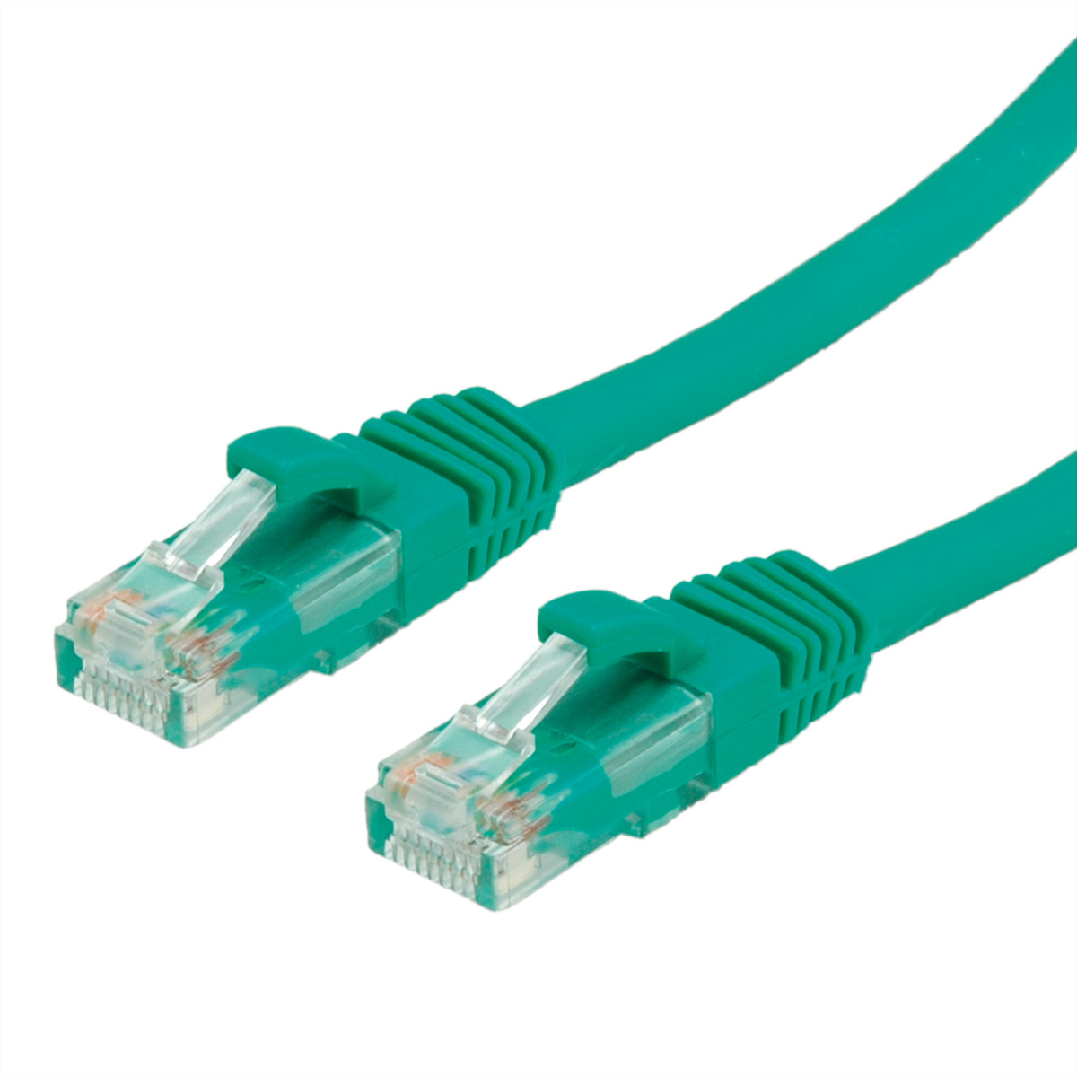 Deux câbles Ethernet verts avec des connecteurs transparents sur une surface blanche, montrant des détails.