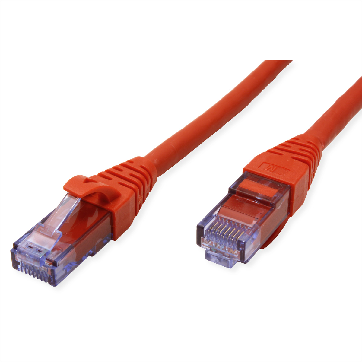 Rode netwerkkabel met connectoren aan beide uiteinden. Witte achtergrond, helder zicht.