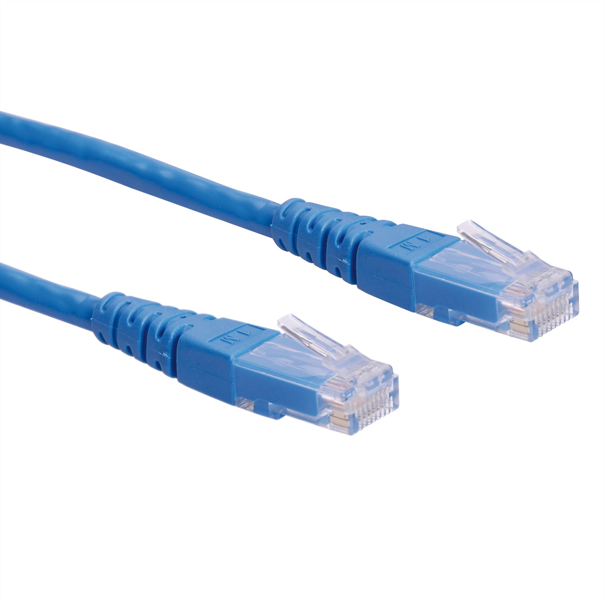 Twee blauwe Ethernet-kabels met blauwe connectoren. De connectoren hebben clips.