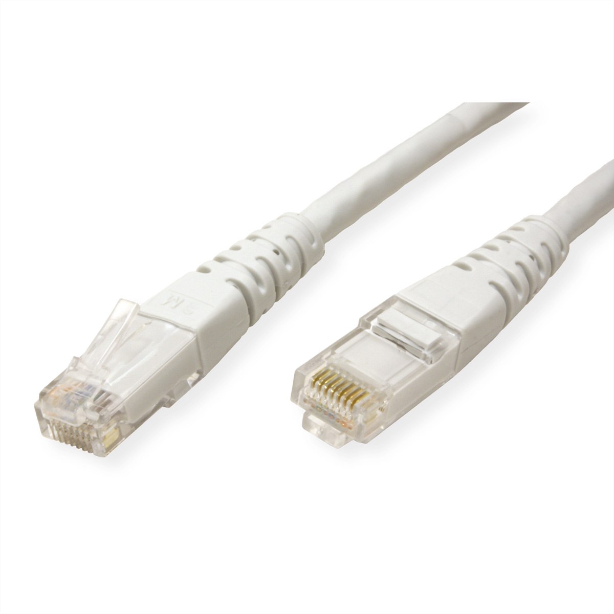 Câble Ethernet blanc avec connecteurs. Têtes en plastique transparent, broches dorées.