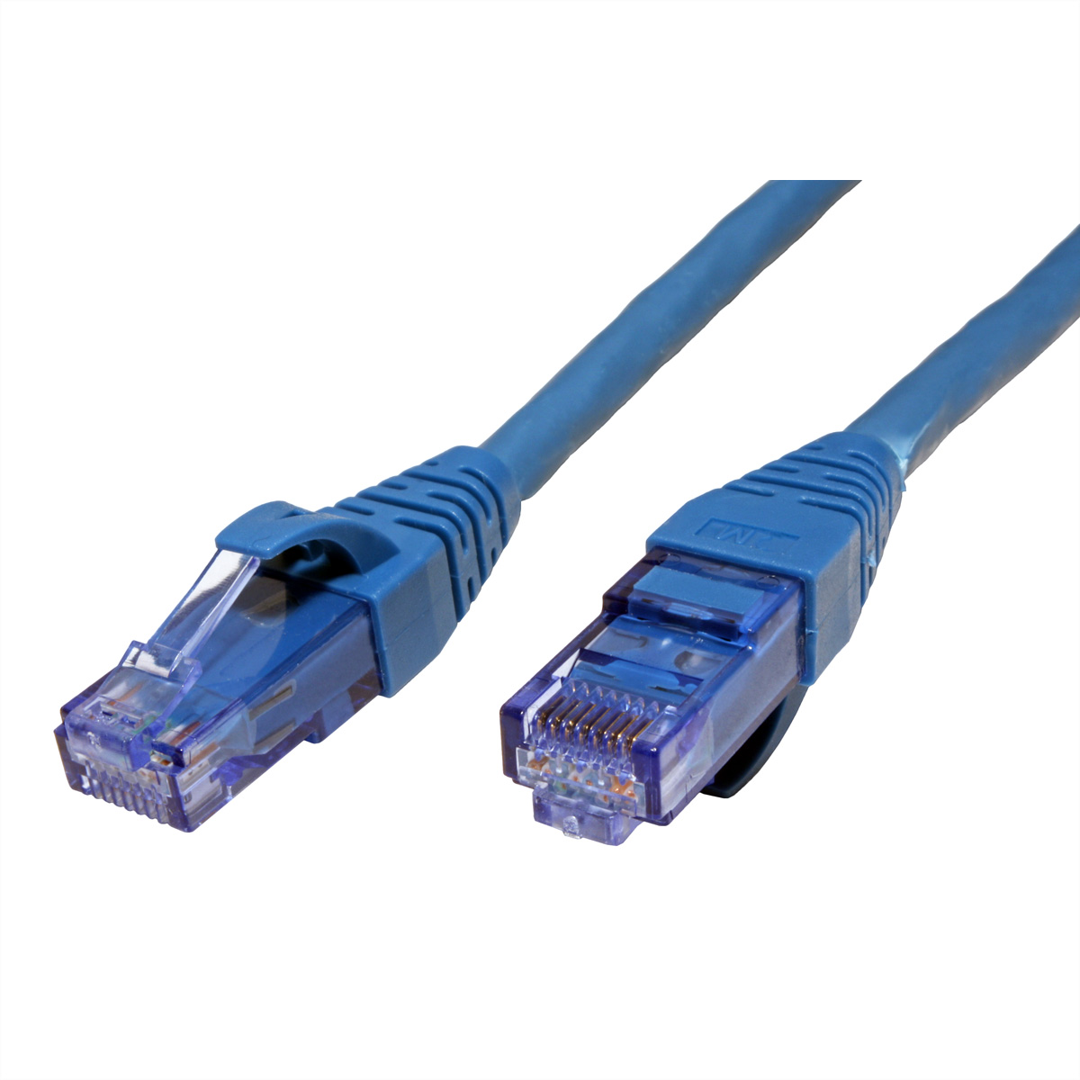 Blauwe Ethernet-kabel met connectoren op een witte achtergrond.