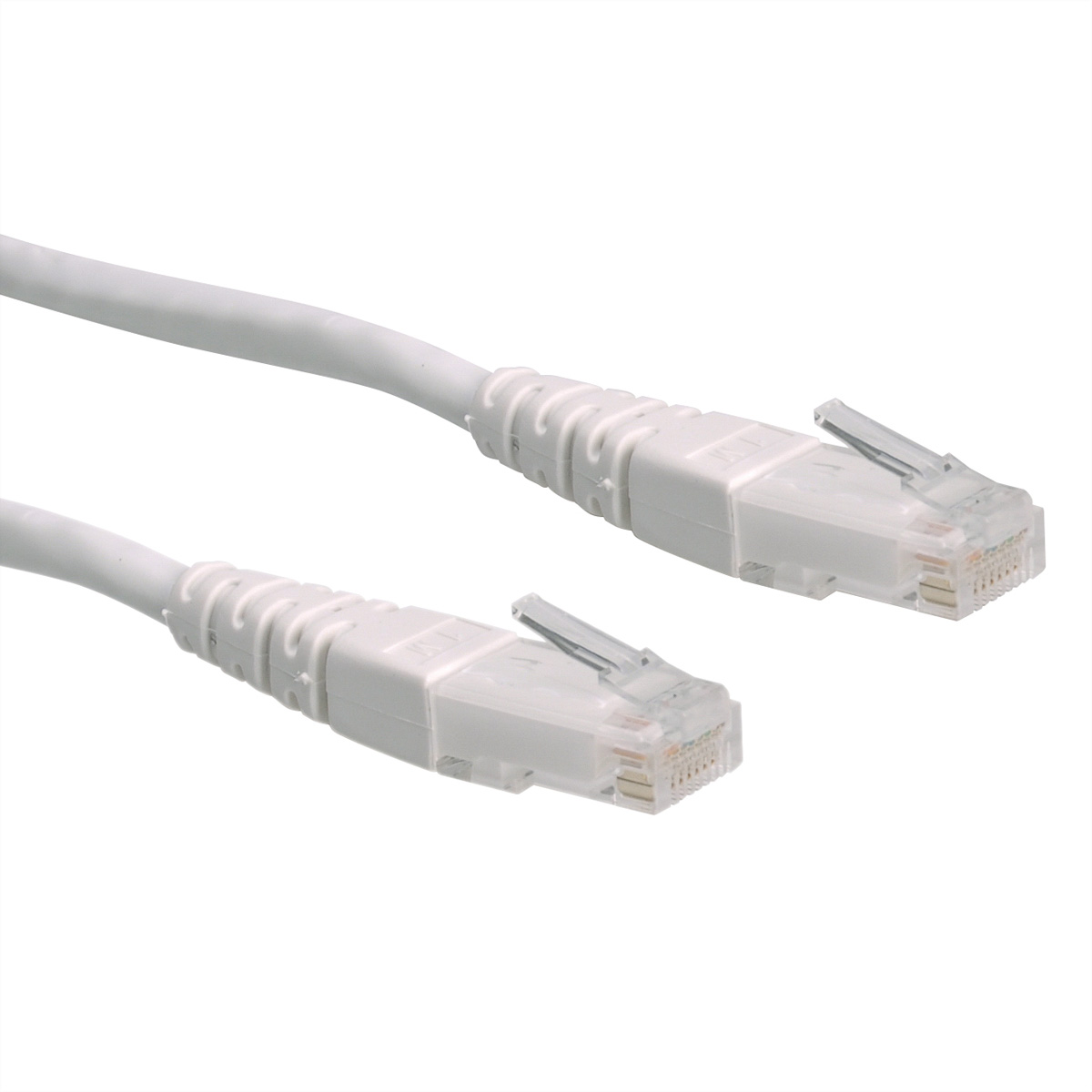 Twee witte netwerkkabels. Connectoren zichtbaar. Witte achtergrond.