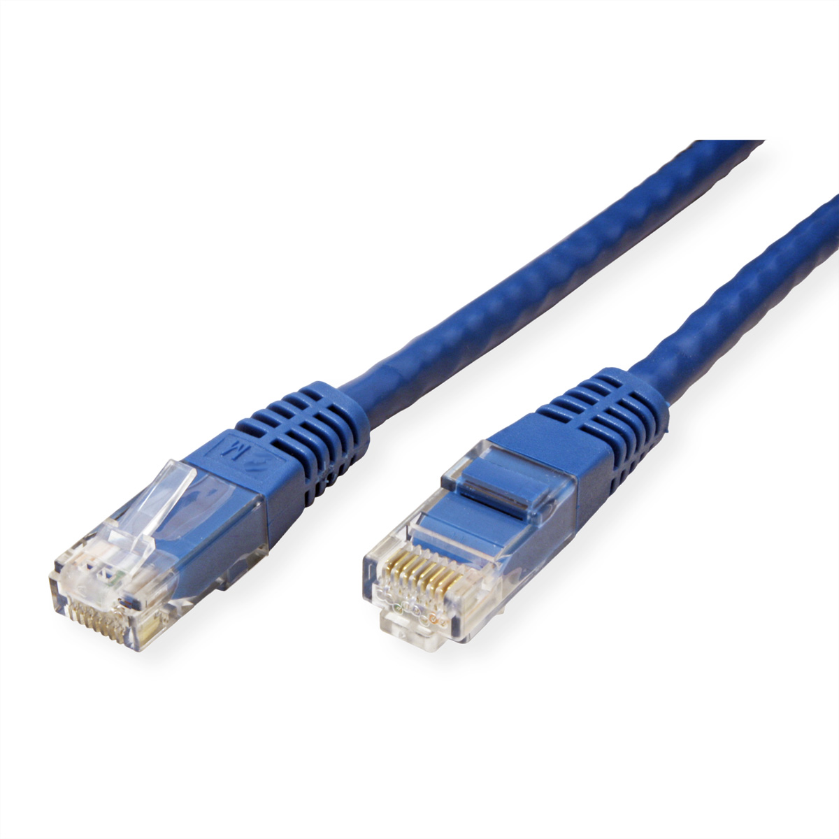 Blaues Ethernet-Kabel mit Anschlüssen auf weißem Hintergrund. Nahaufnahme.