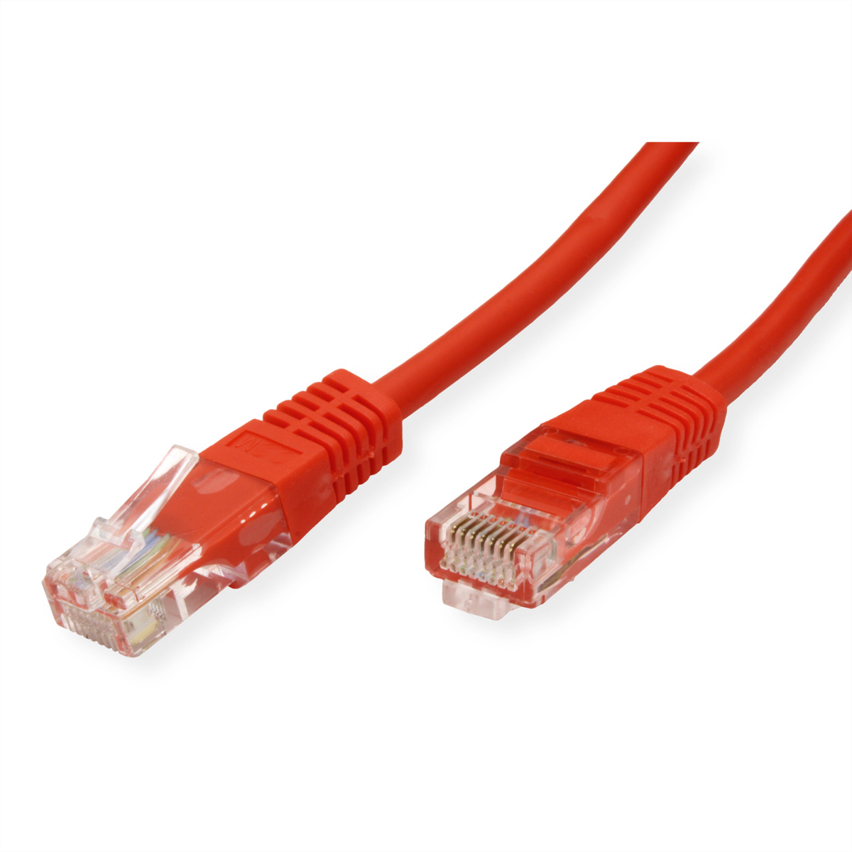 Cavo Ethernet rosso con connettori trasparenti. Un cavo è più vicino alla fotocamera.