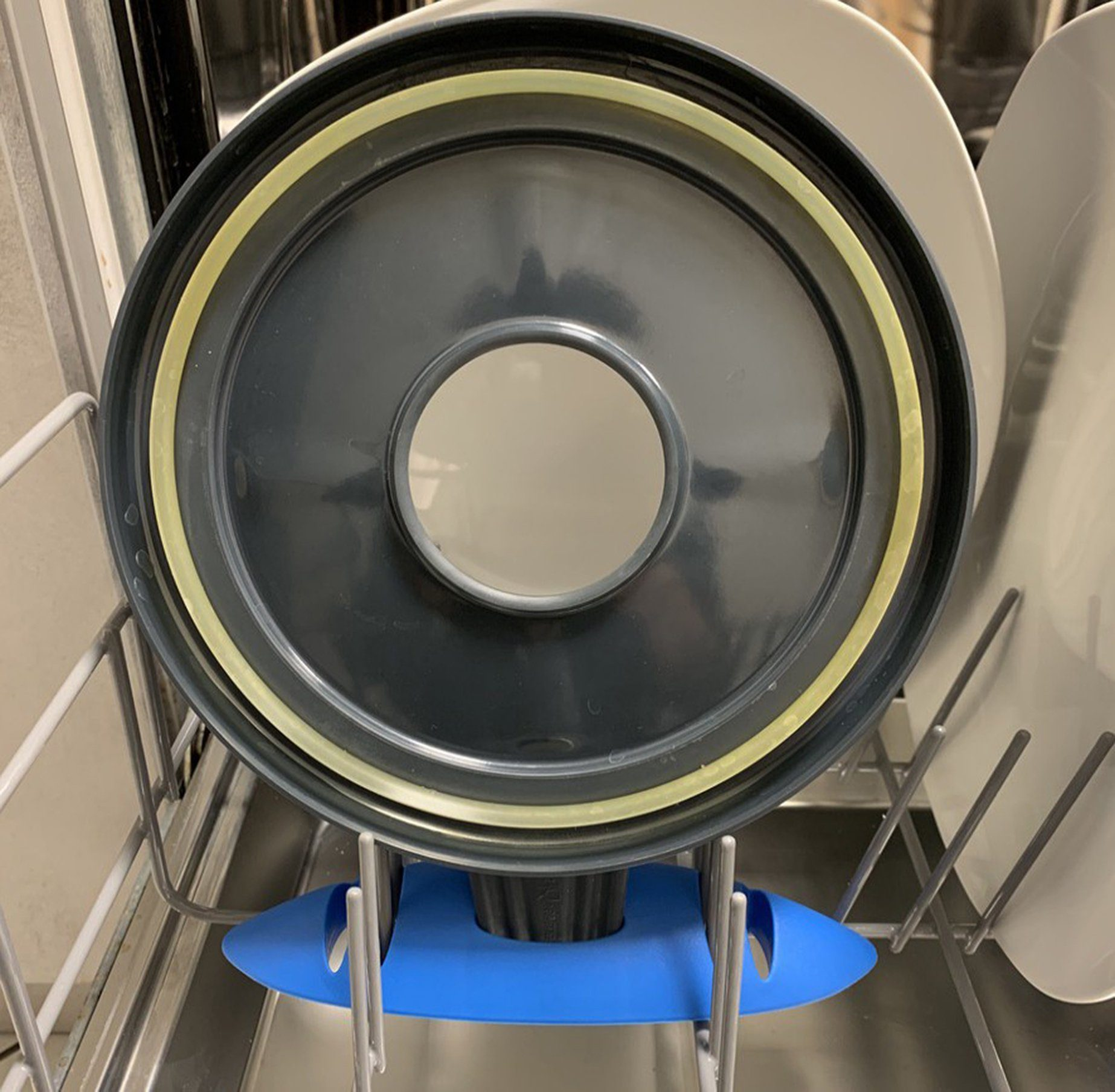 Interno lavastoviglie con contenitore grigio scuro e supporti blu, piatti visibili.