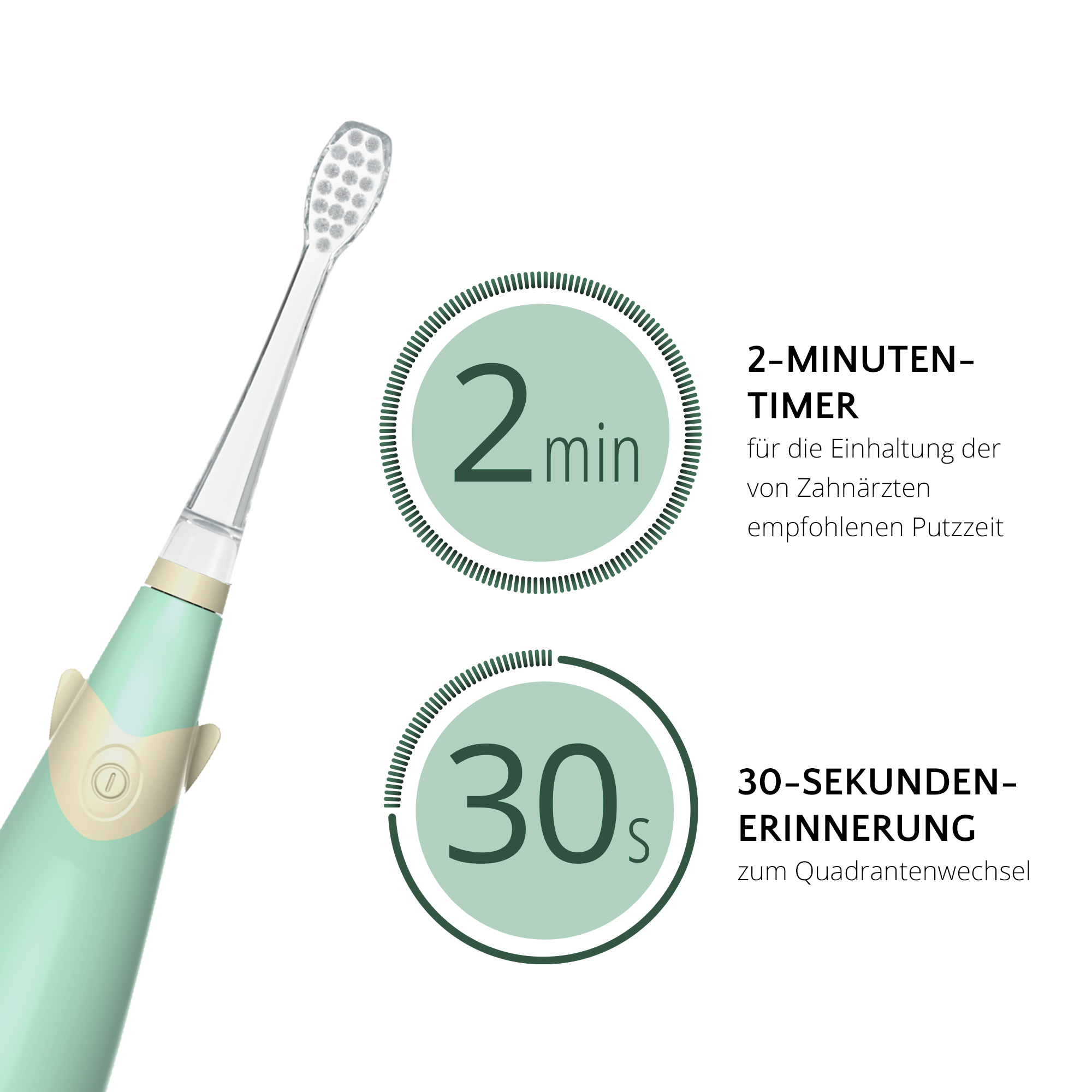 Elektrische Zahnbürste mit Zeitanzeigen für 2 Minuten und 30 Sekunden, in Grün und Weiß.