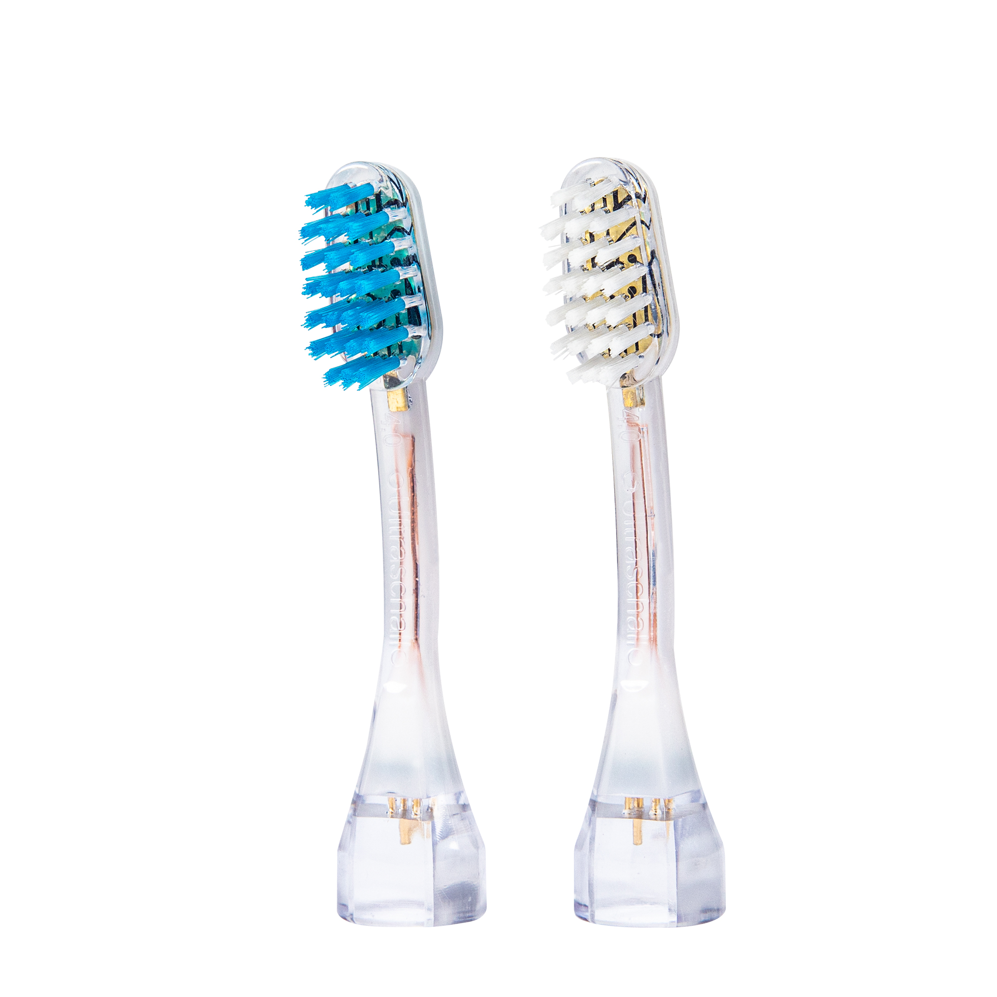 Due testine trasparenti per spazzolino con setole blu e bianche.