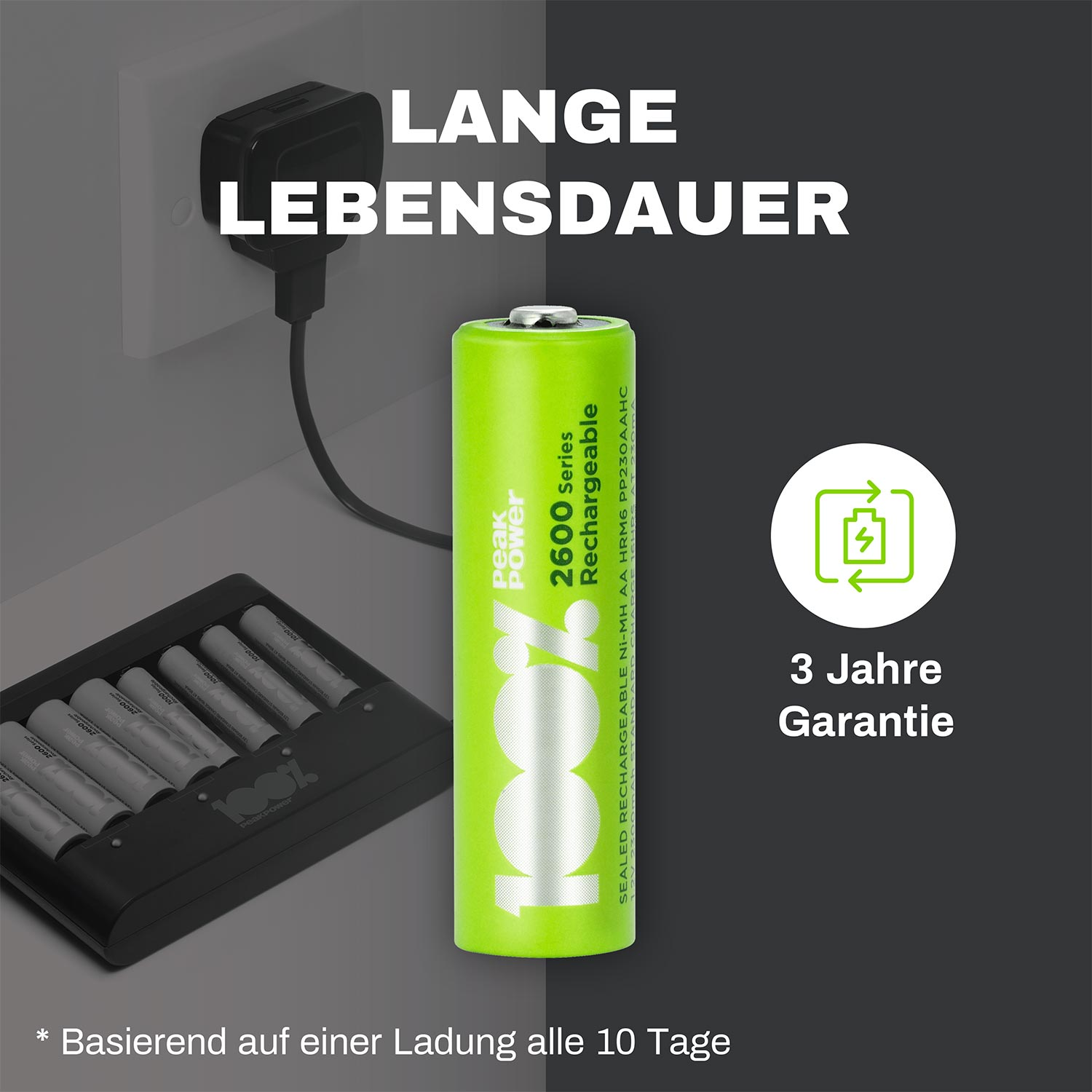 Grüne Akku neben einem Ladegerät. Text: Peak Power 2600 Series.