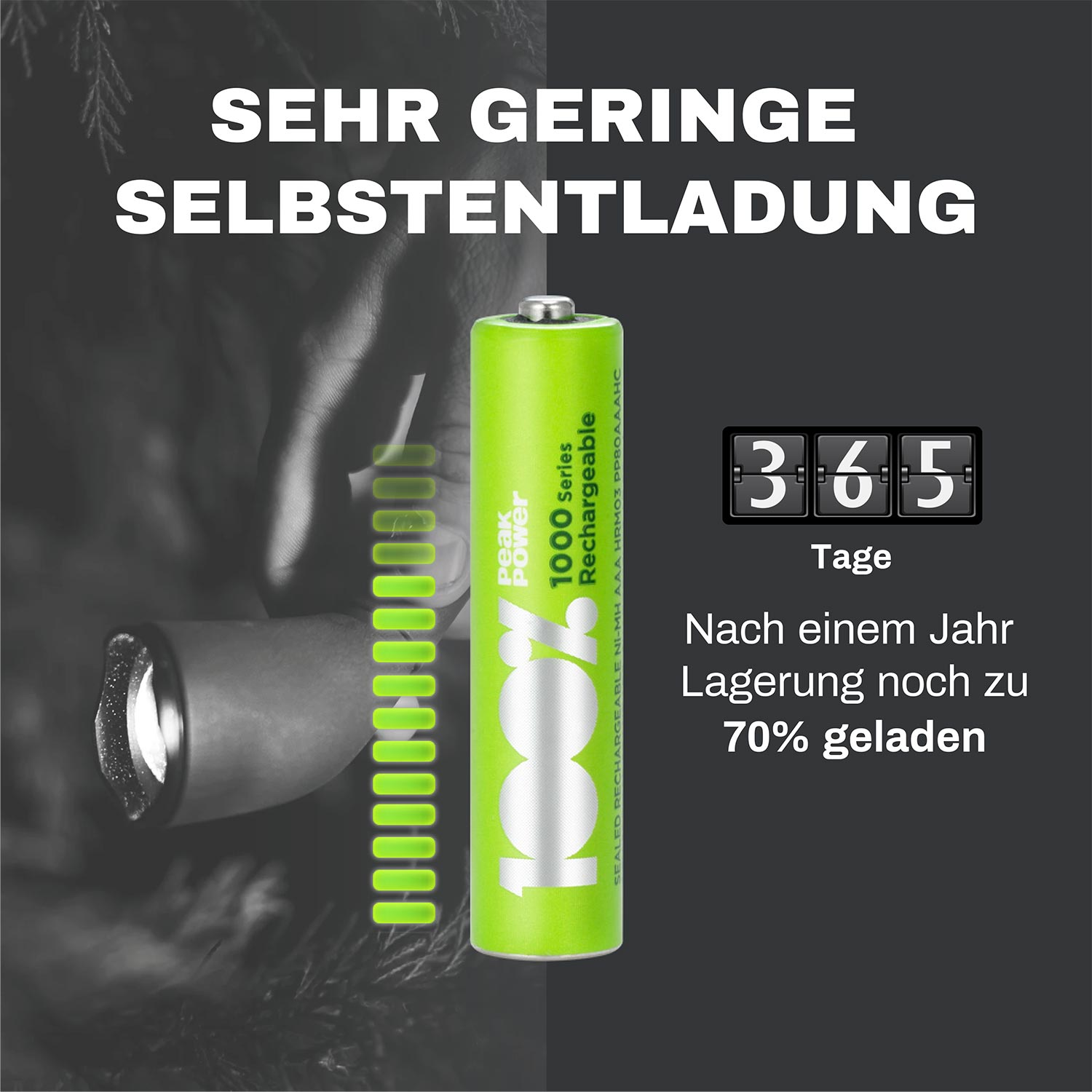 Grüne Akku mit Informationen. Anzeige zeigt 365 Tage. Weißer Hintergrund.