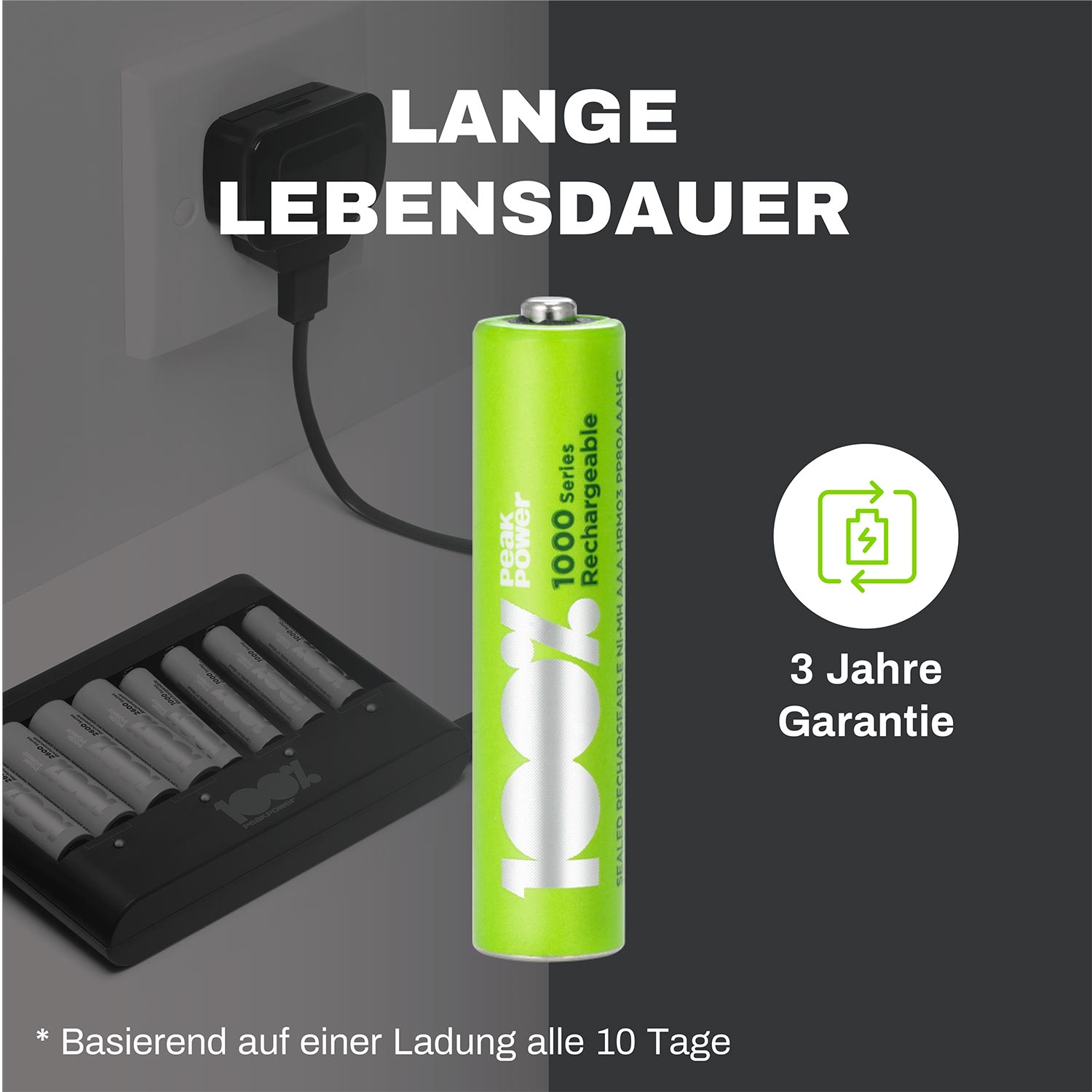 Grüne Akku mit Text: '1000 Series Rechargeable'. Ladegerät und Text-Overlay im Hintergrund.