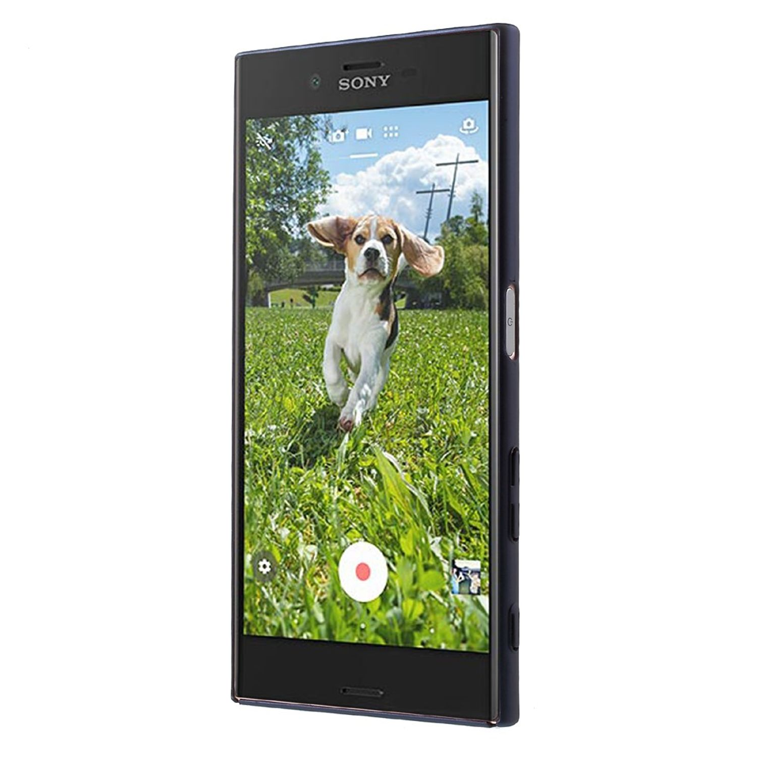 Ein Smartphone zeigt einen Hund, der auf grünem Gras rennt. Das Telefon hat einen schwarzen Rahmen.