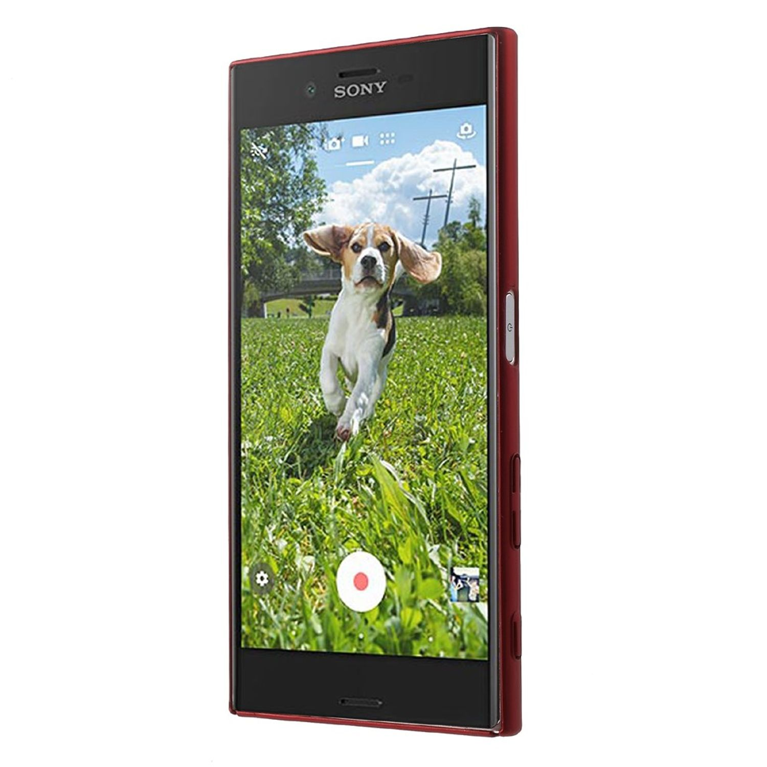 Rotes Sony-Telefon zeigt einen laufenden Hund auf einem grünen Feld, mit Kameraschnittstelle.