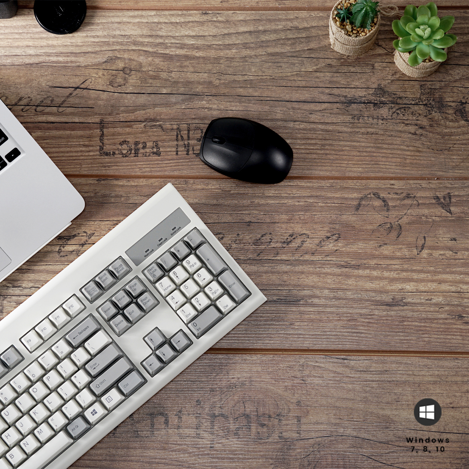 Draufsicht auf einen Schreibtisch mit Laptop, Tastatur, Maus und Pflanzen auf einer Holzoberfläche.