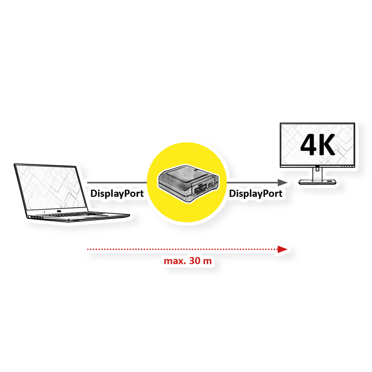 30m ROLINE DisplayPort-Verlängerung Extender, DisplayPort