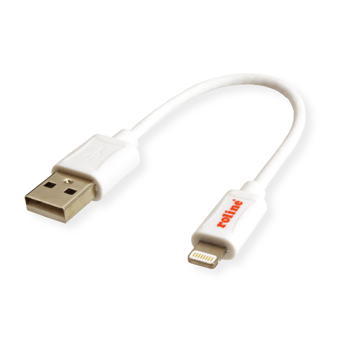 White USB to Lightning cable. White background.