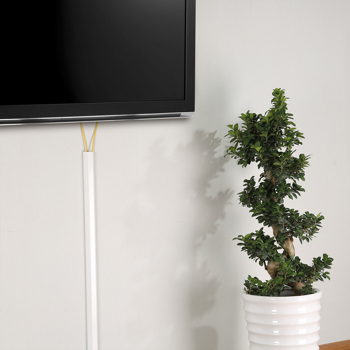 Eine weiße Kabelabdeckung. Eine weiße Wand, eine Pflanze in einem Topf und ein Fernseher an der Wand. Innenraum.