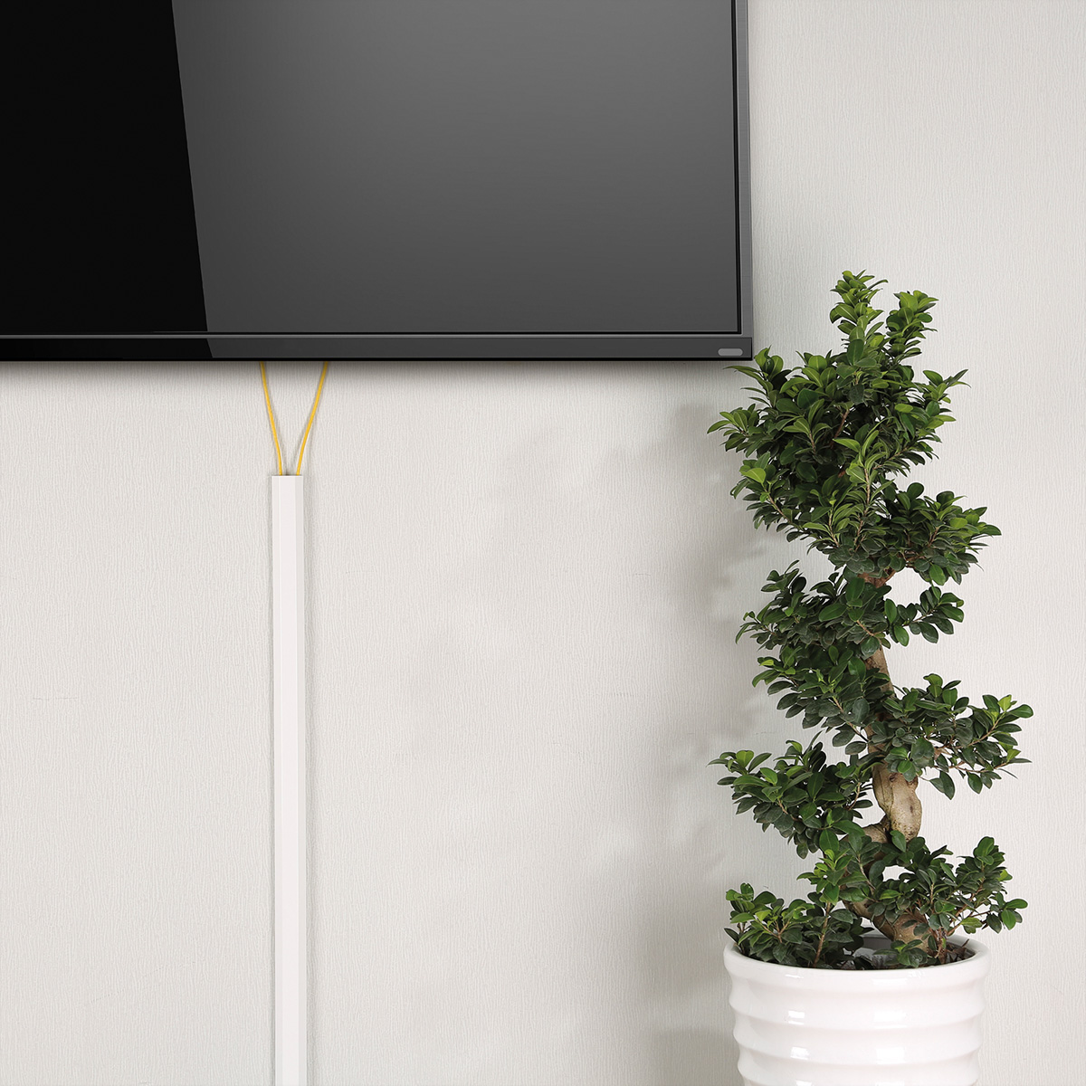 Raumecke mit einem Fernseher an der Wand, weißem Kabelverstecker und einer Topfpflanze.