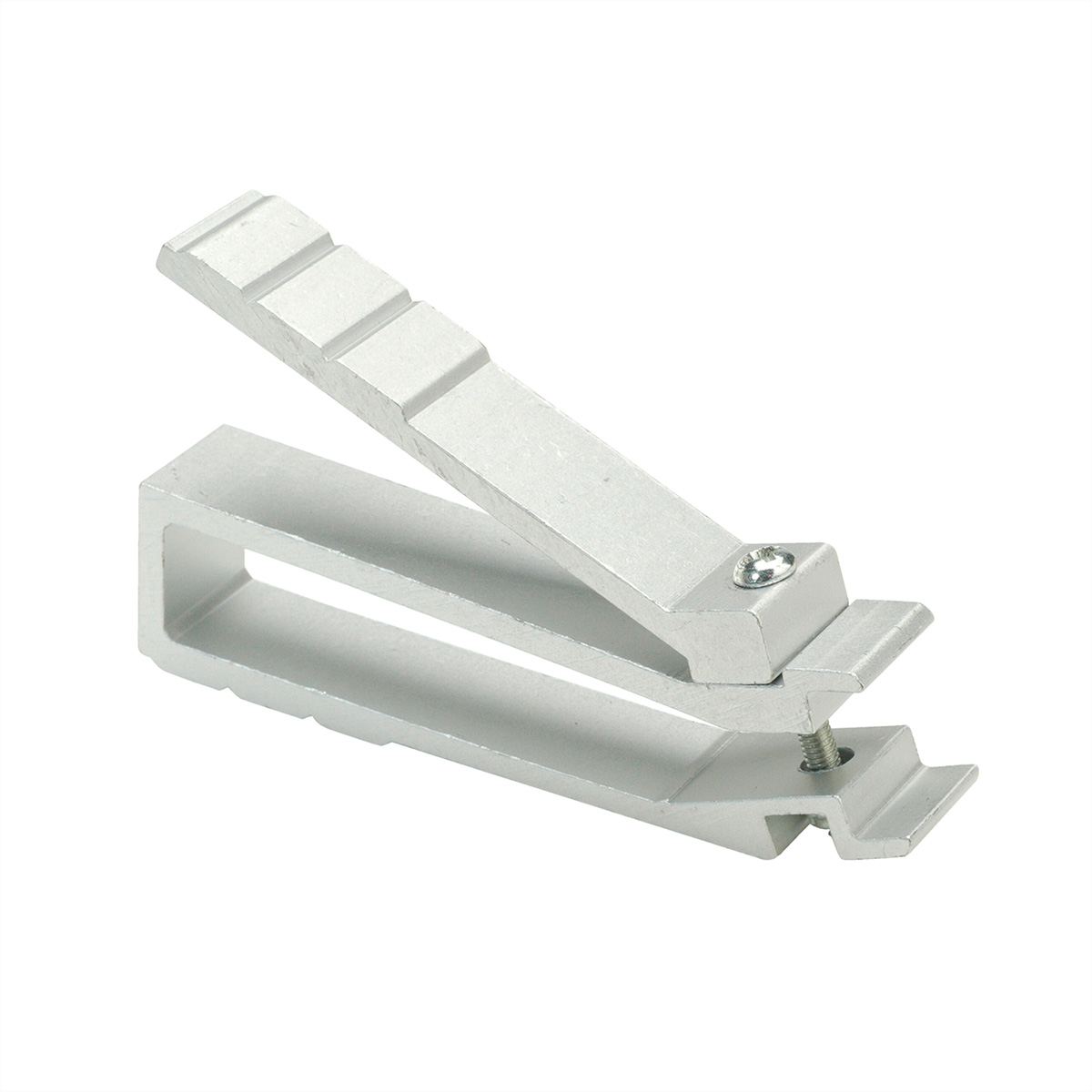 Clip in metallo argentato, sfondo bianco. Design a cerniera con una vite e due parti a clip.