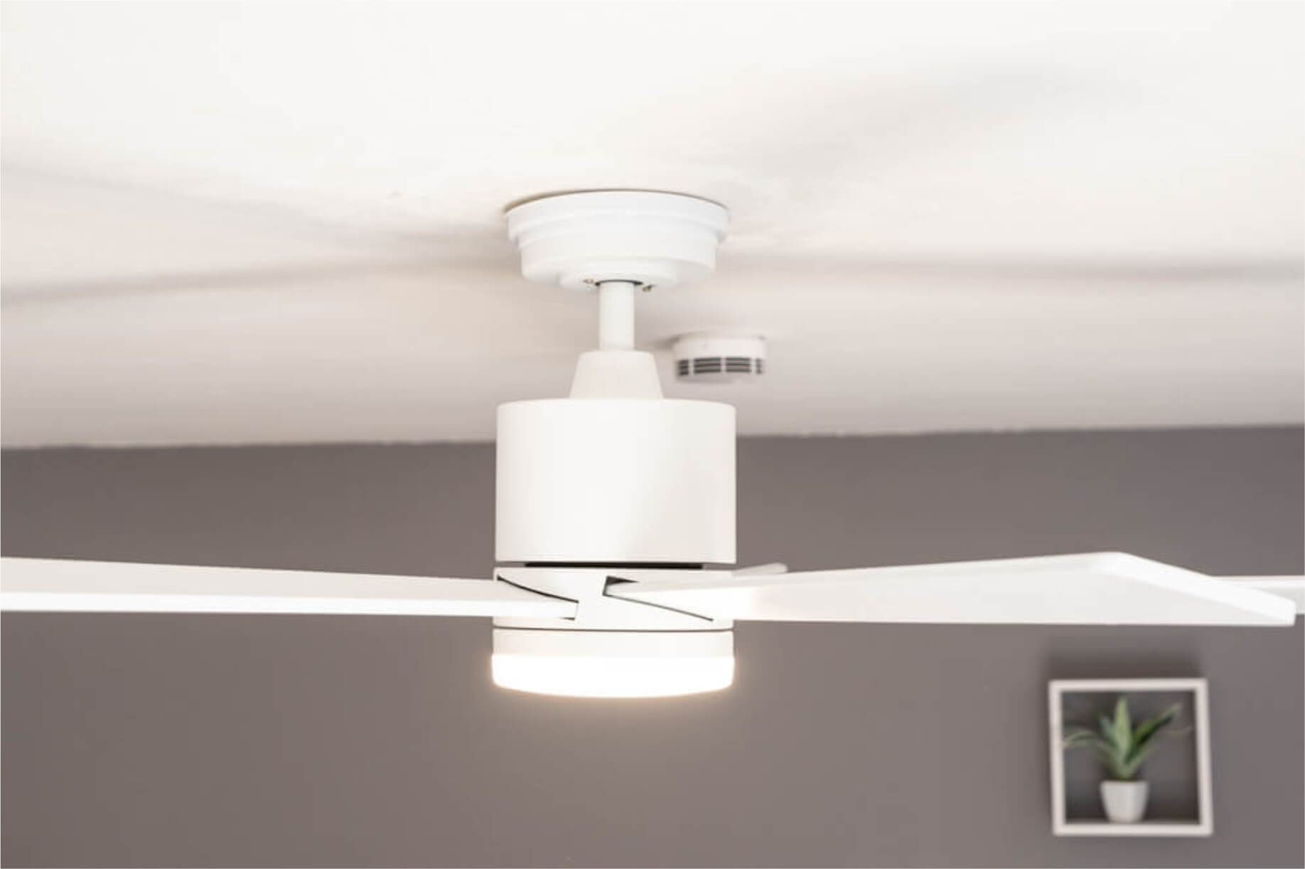 Weißer Deckenventilator mit drei Flügeln. Ein Rauchmelder ist sichtbar. Die Wand ist grau und die Decke weiß.