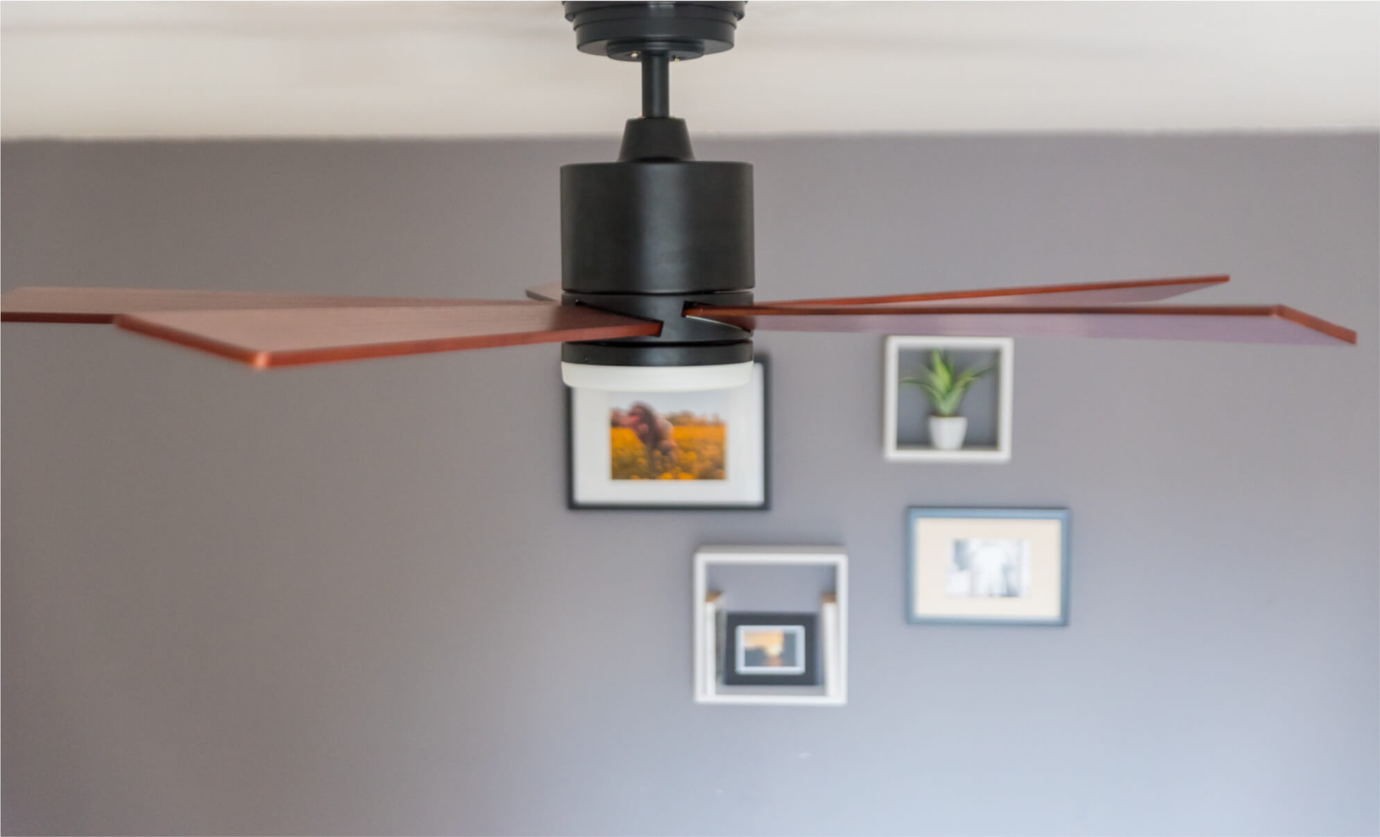 Deckenventilator mit Holzflügeln. Rahmen mit Bildern und einer Pflanze hängen an der grauen Wand hinter dem Ventilator.
