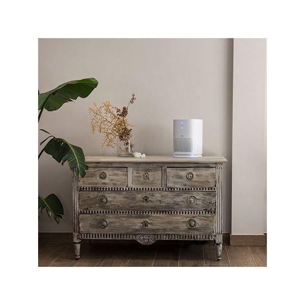 Purificatore d'aria bianco su cassettiera in legno. Vaso con fiori. Piante verdi sullo sfondo.