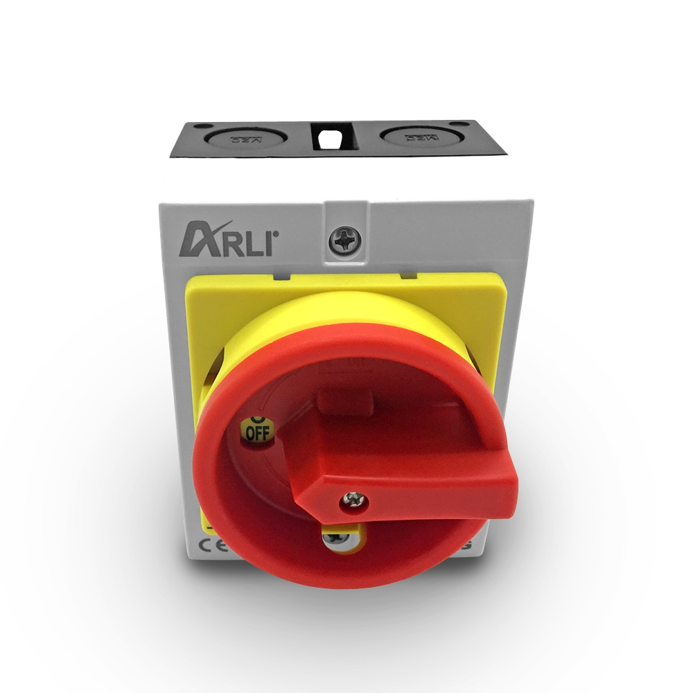 Interrupteur Principal 4P 16A ARLI Avec Boîtier Plastique - Neuf Sous Blister