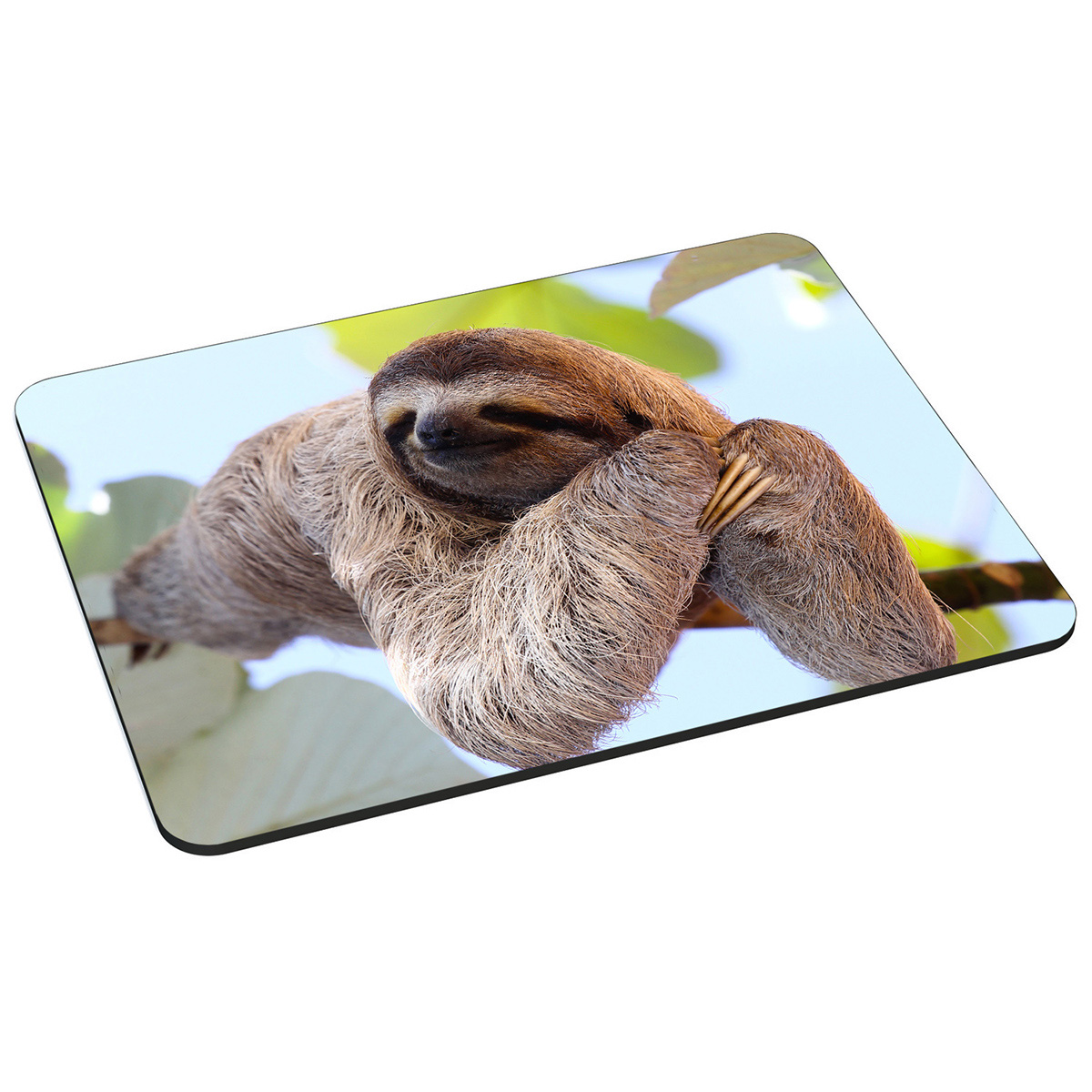 PEDEA 22 x Design L cm) Mauspad Gr. cm Mauspad Sloth, Chilling (18