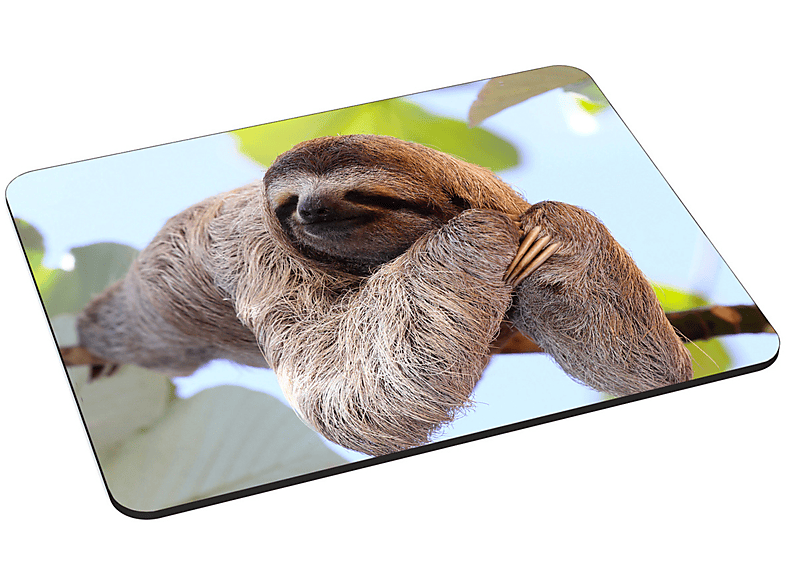 PEDEA Mauspad Design Chilling Sloth, Gr. L Mauspad (18 cm x 22 cm)