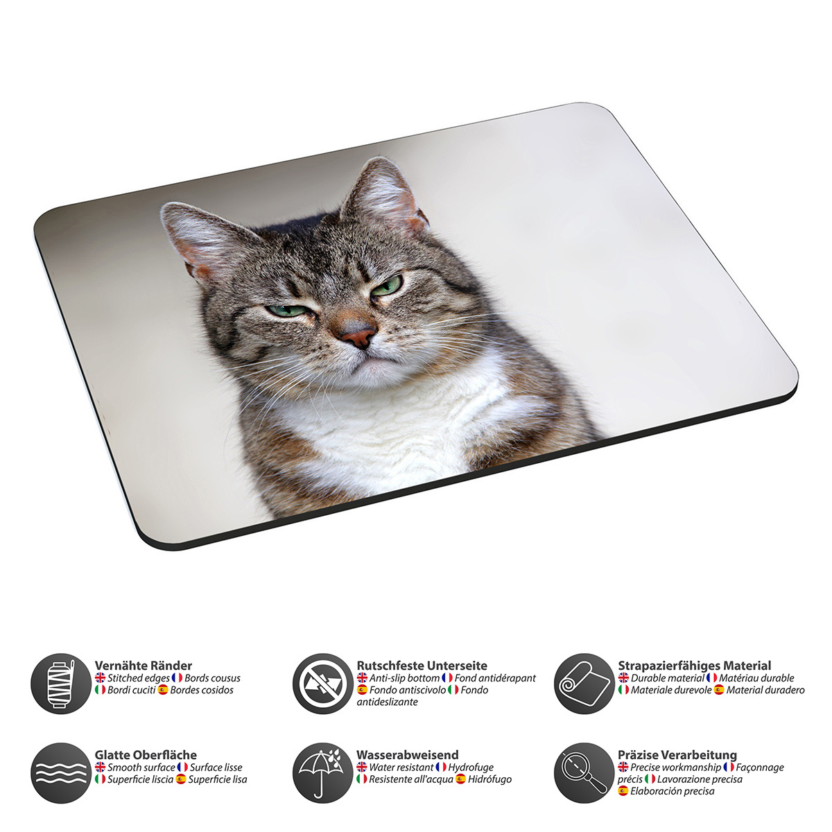 Eine Katze auf einem Mauspapier. Die Katze schaut mit grimmigem Gesicht in die Kamera.