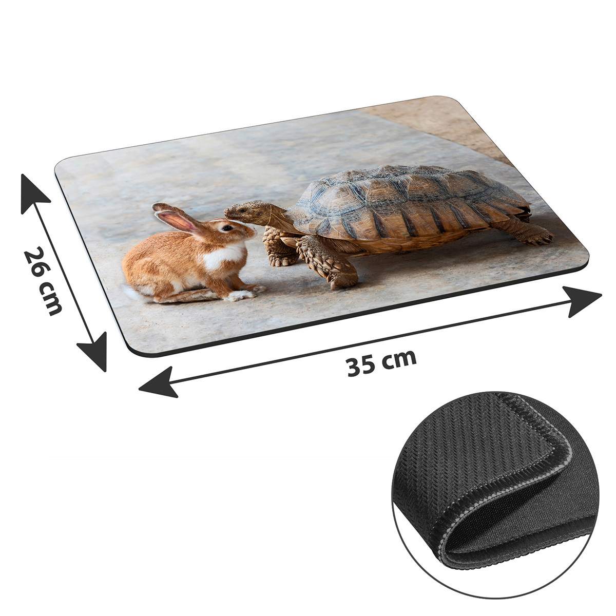 Ein Kaninchen und eine Schildkröte stehen sich auf einem Mauspad gegenüber.