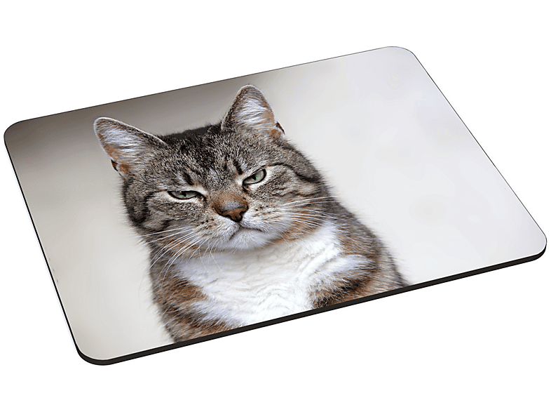 PEDEA Mauspad Design Cat, cm L 22 cm) x (18 Gr. Mauspad