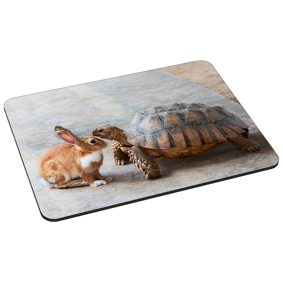 PEDEA Mauspad Design Turtle, L & 22 Rabbit cm) x (18 Gr. Mauspad cm