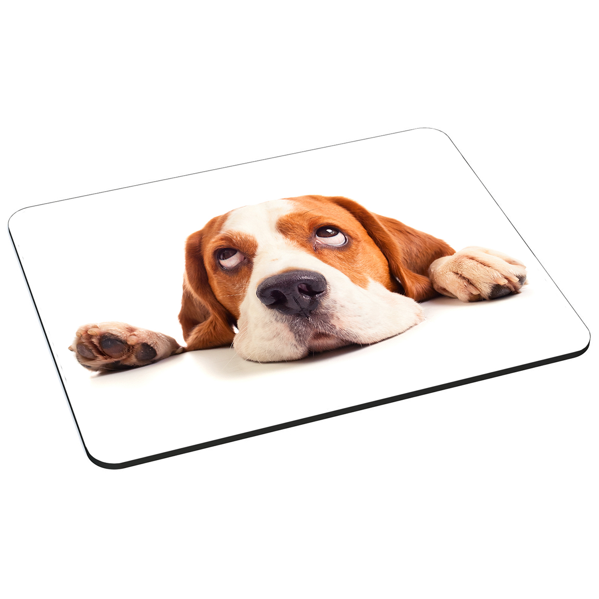 Mauspad mit einem Hund, der nach oben schaut. Hund ist braun, weiß. Weißer Hintergrund.